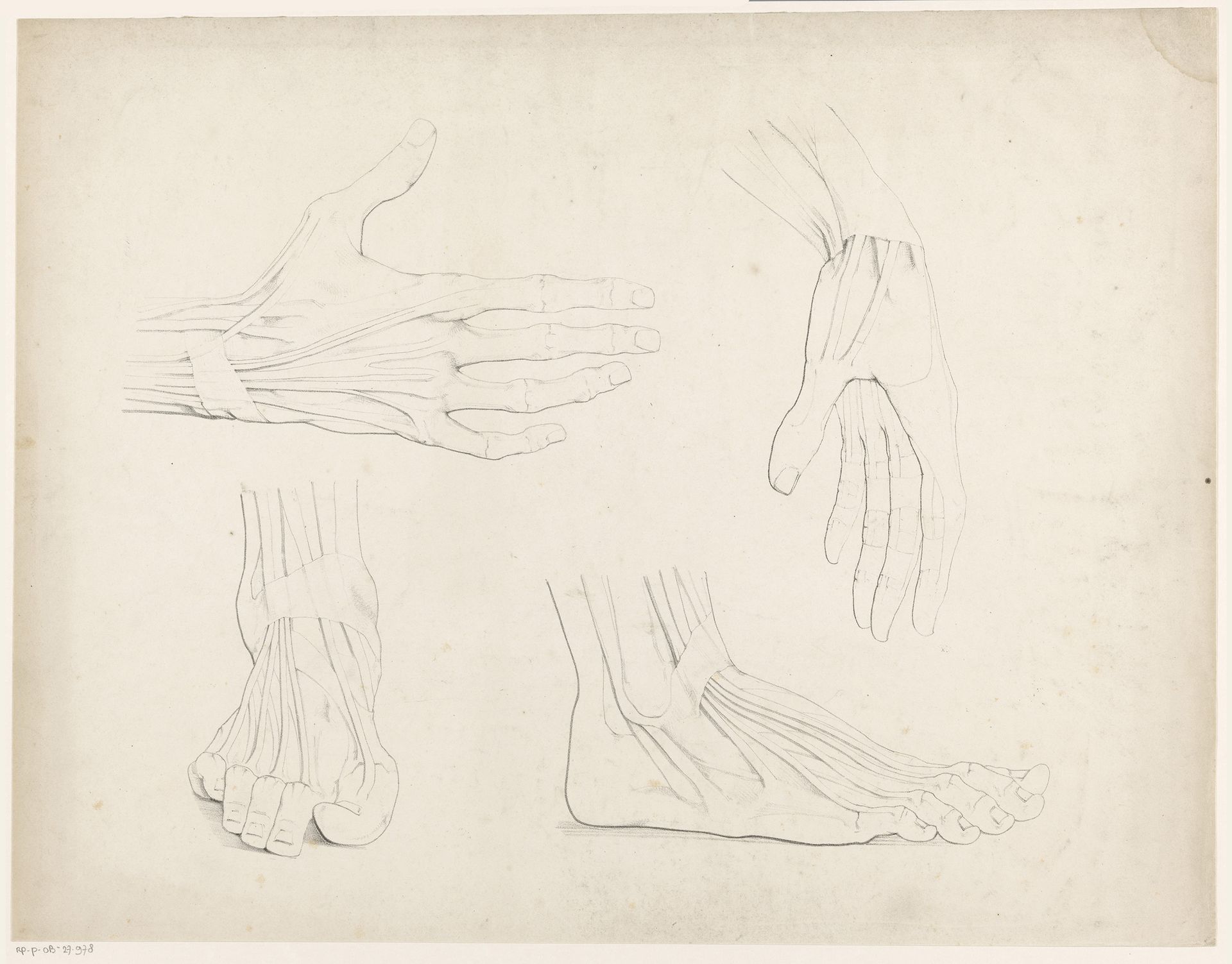 Tekenvoorbeeld met handen en voeten by Jean Augustin Daiwaille