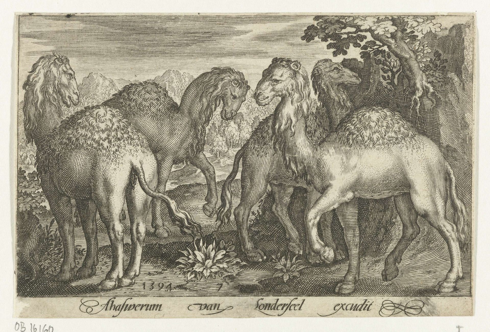 Vier dromedarissen by Nicolaes de Bruyn
