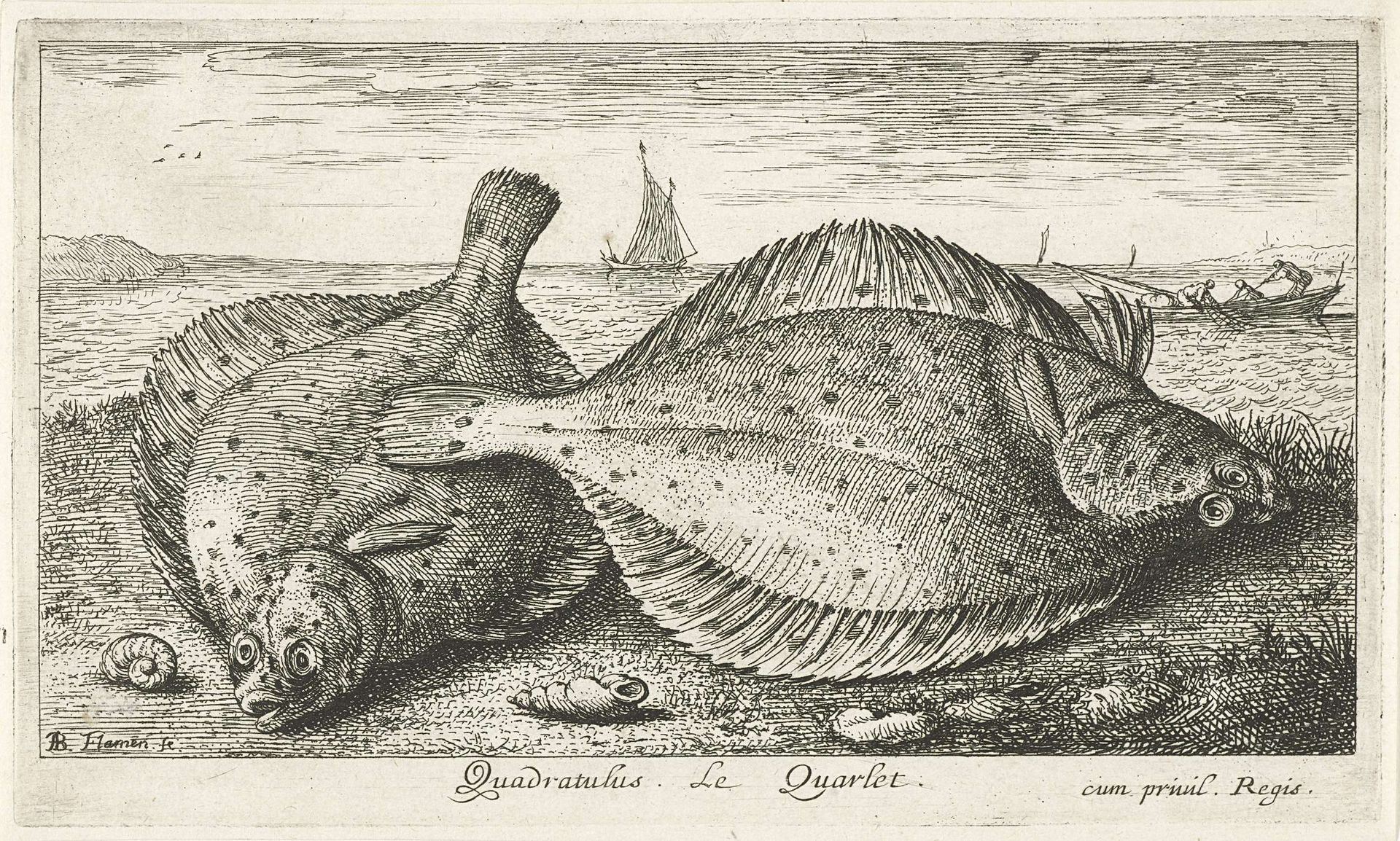 Twee schollen op het strand by Albert Flamen
