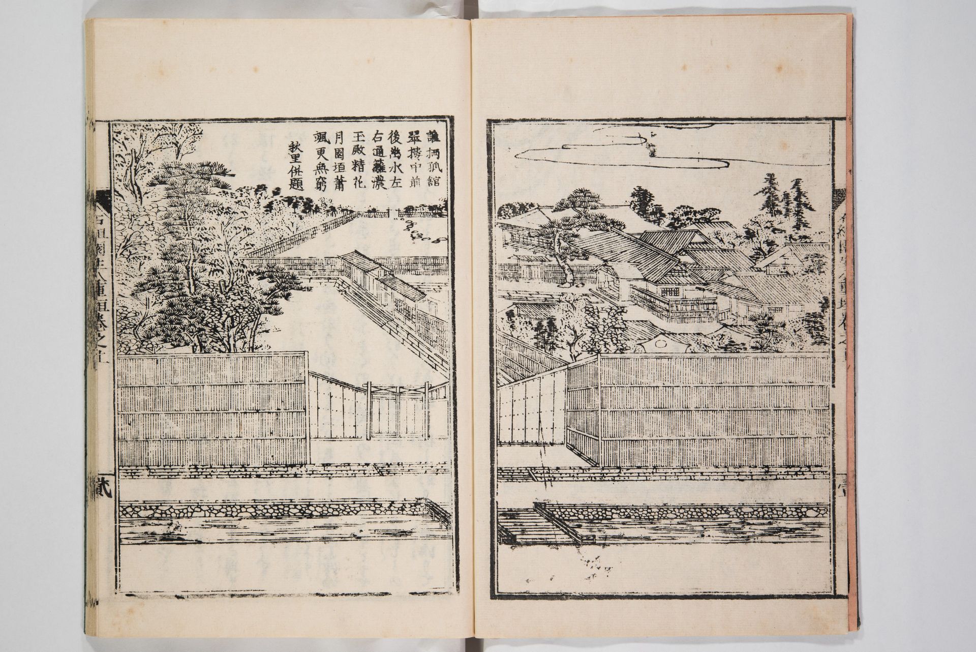 Illustrated Book of Floral Arrangements in the Mishō Style by Mishōsai Kōho