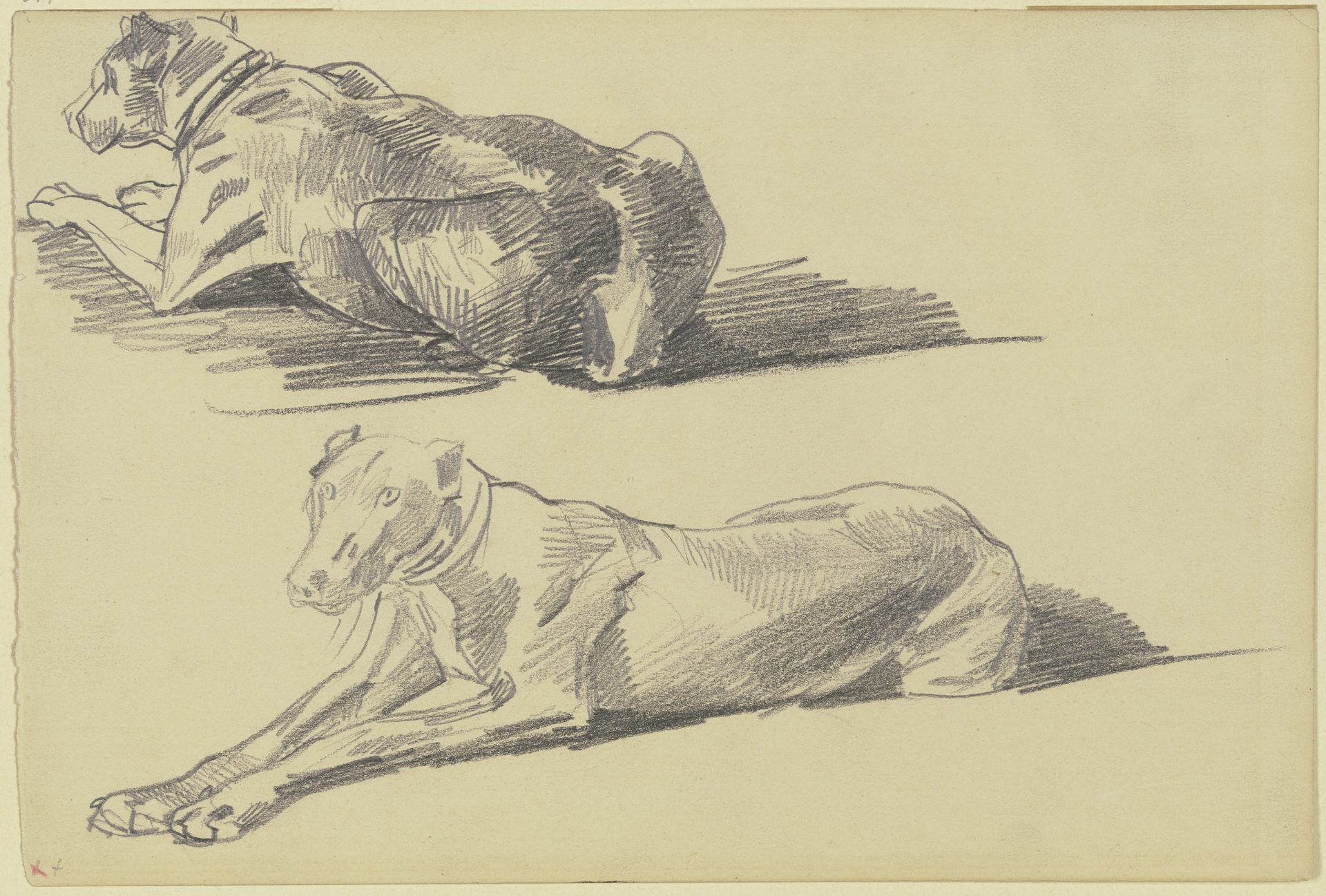 Studienblatt_ Die Dogge Cäsar, liegend nach links by Wilhelm Trübner
