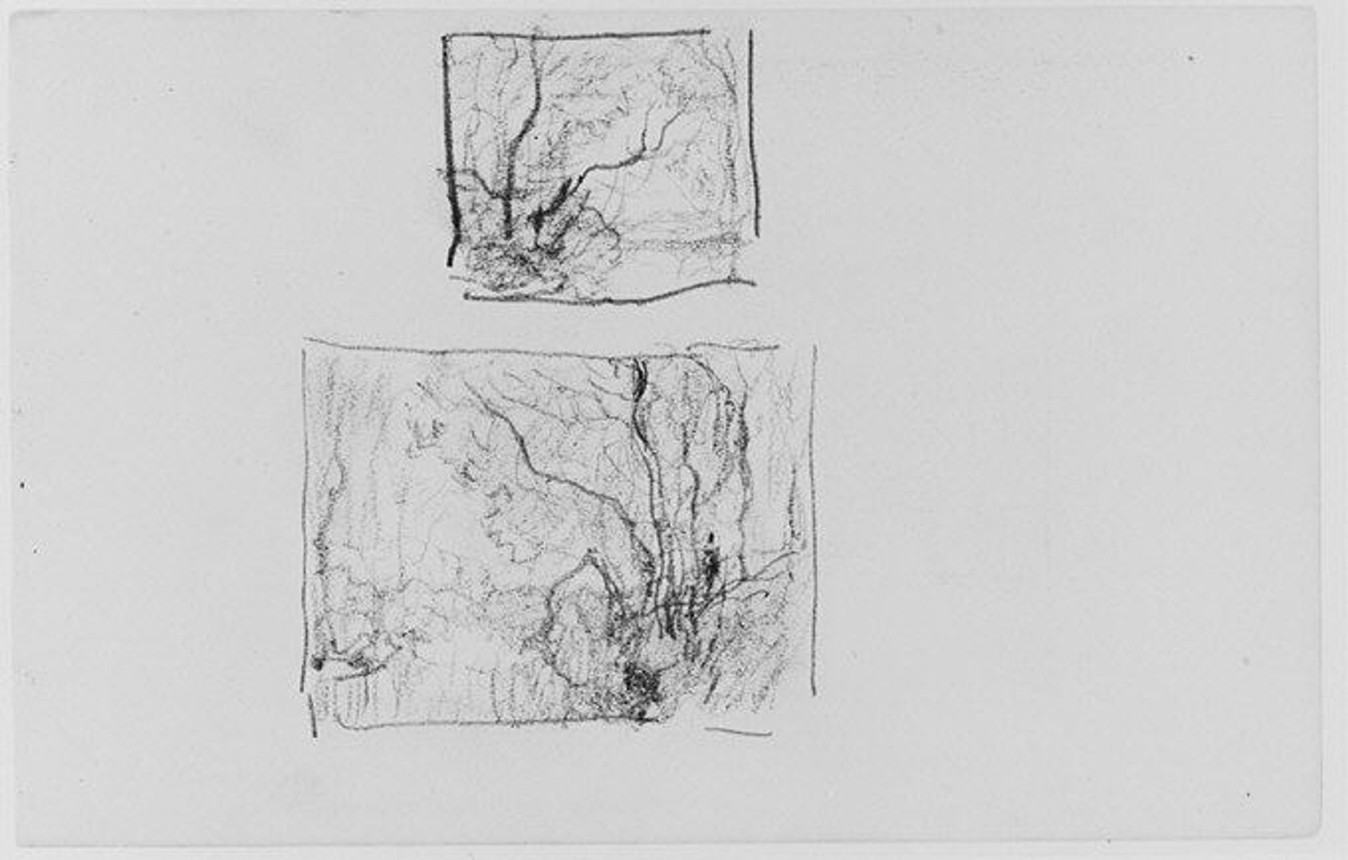 Two Sketches of Trees (from Sketchbook) by Henry Ward Ranger