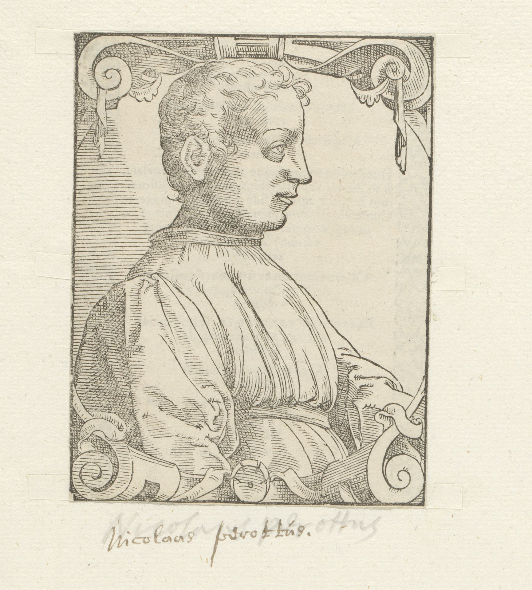 Portret van Niccolò Perotti by Anonymous