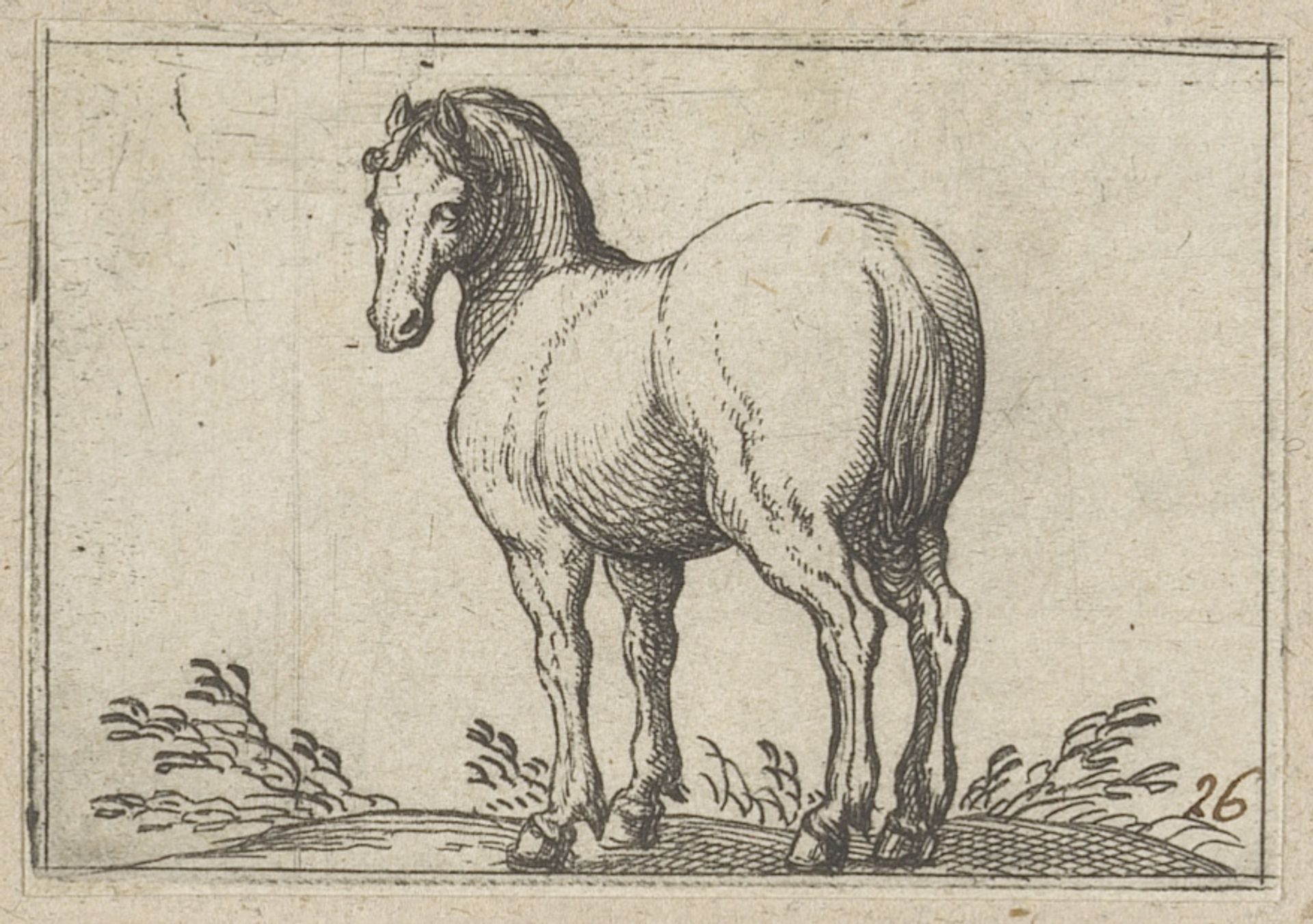 Staand paard van achteren gezien by Antonio Tempesta