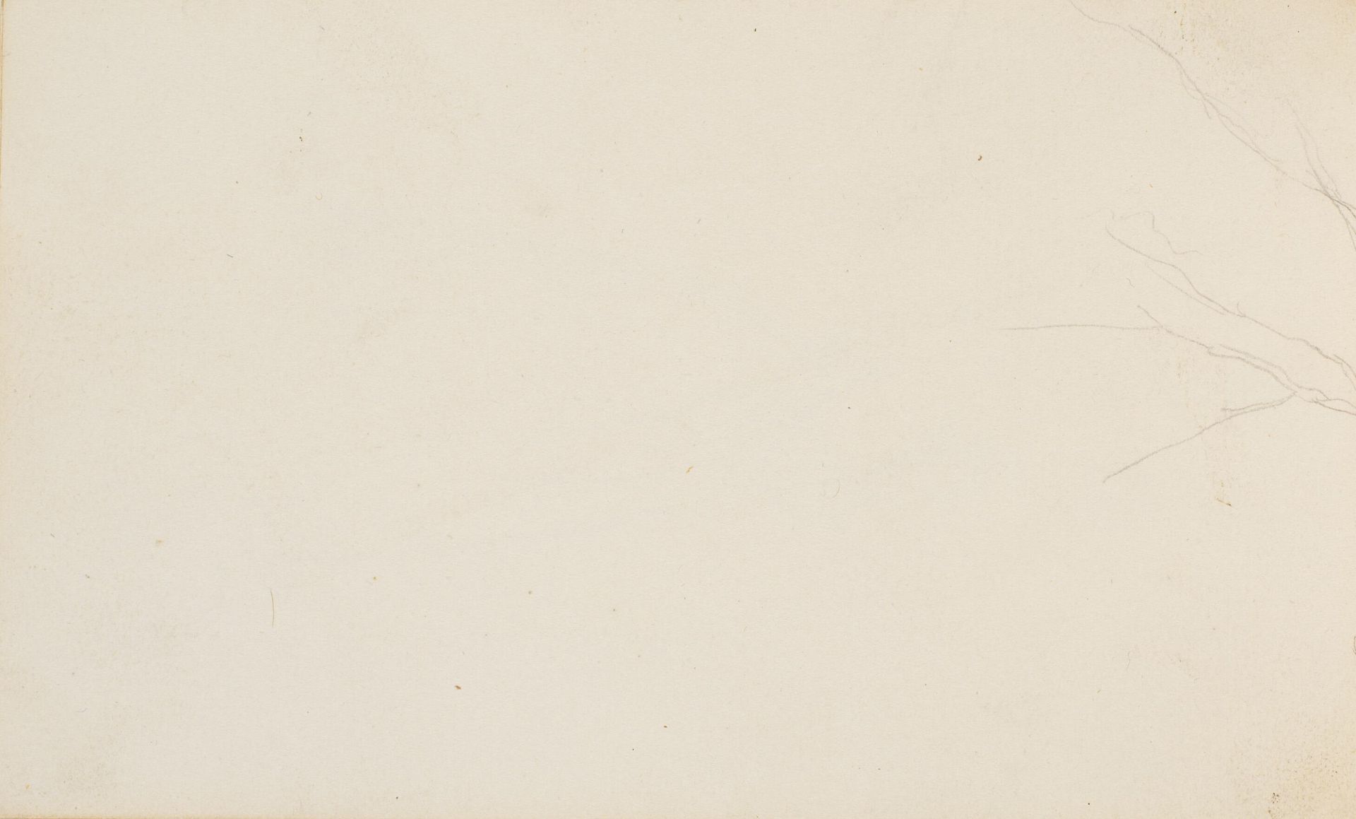 Del af et træstudie (fra side 28) by P.C. Skovgaard