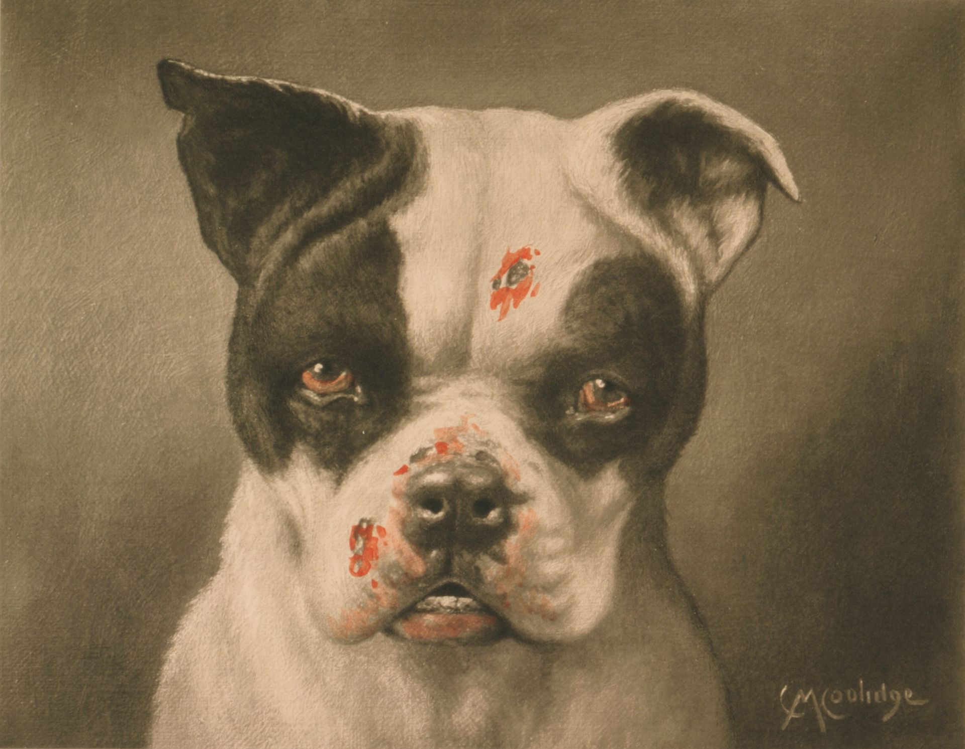 I'm a Bad Dog! What Kind of a Dog are You? by Cassius Marcellus Coolidge