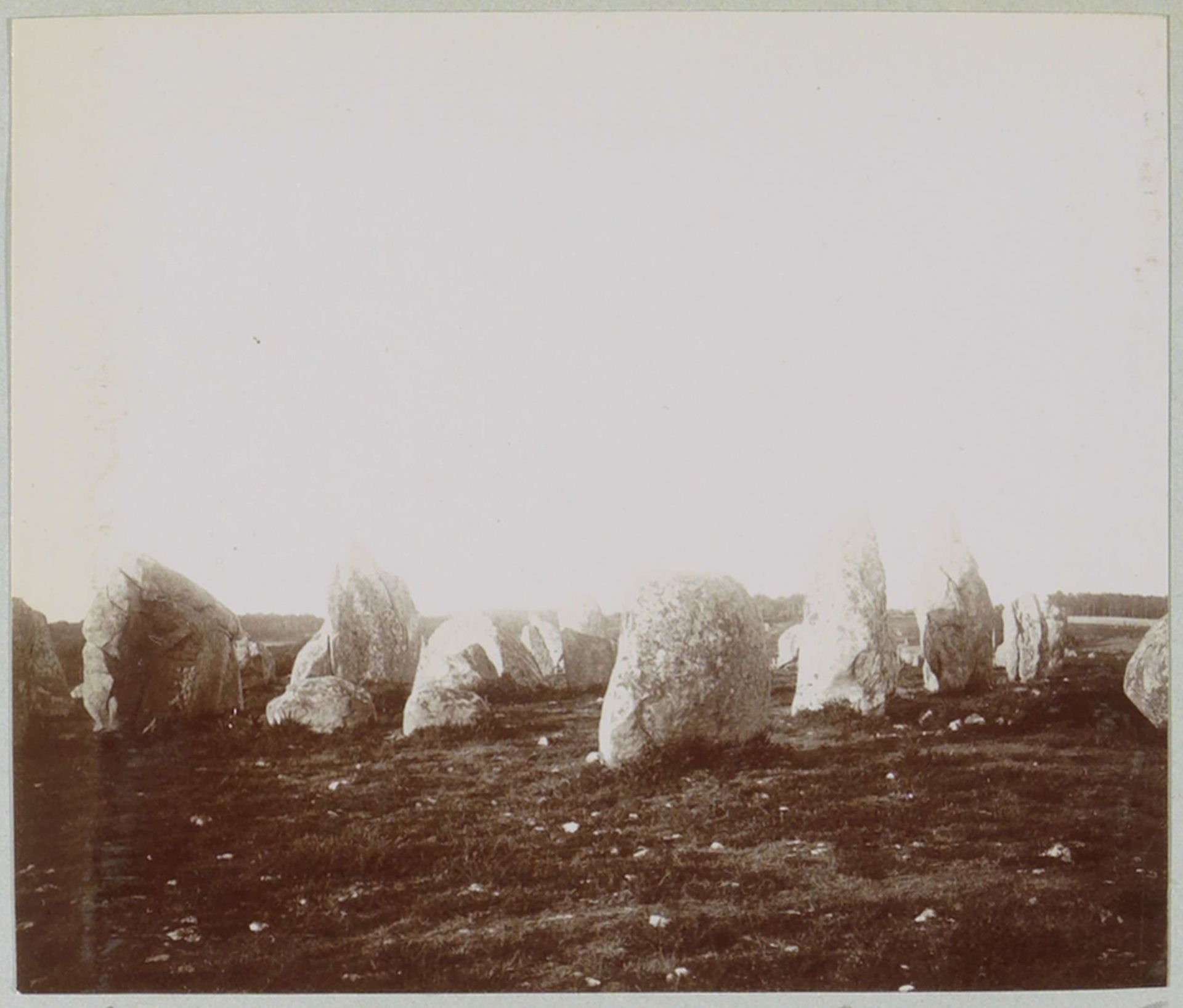 Menhirs (megalieten) van Carnac by Delizy