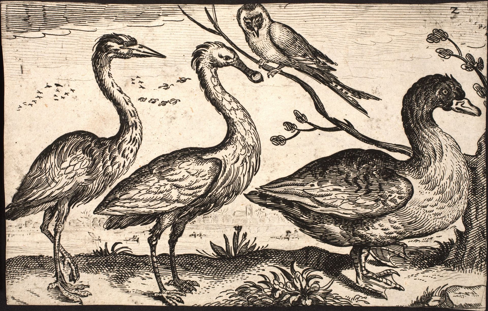 Heron, spoonbill, bird and goose by Jacob Matham