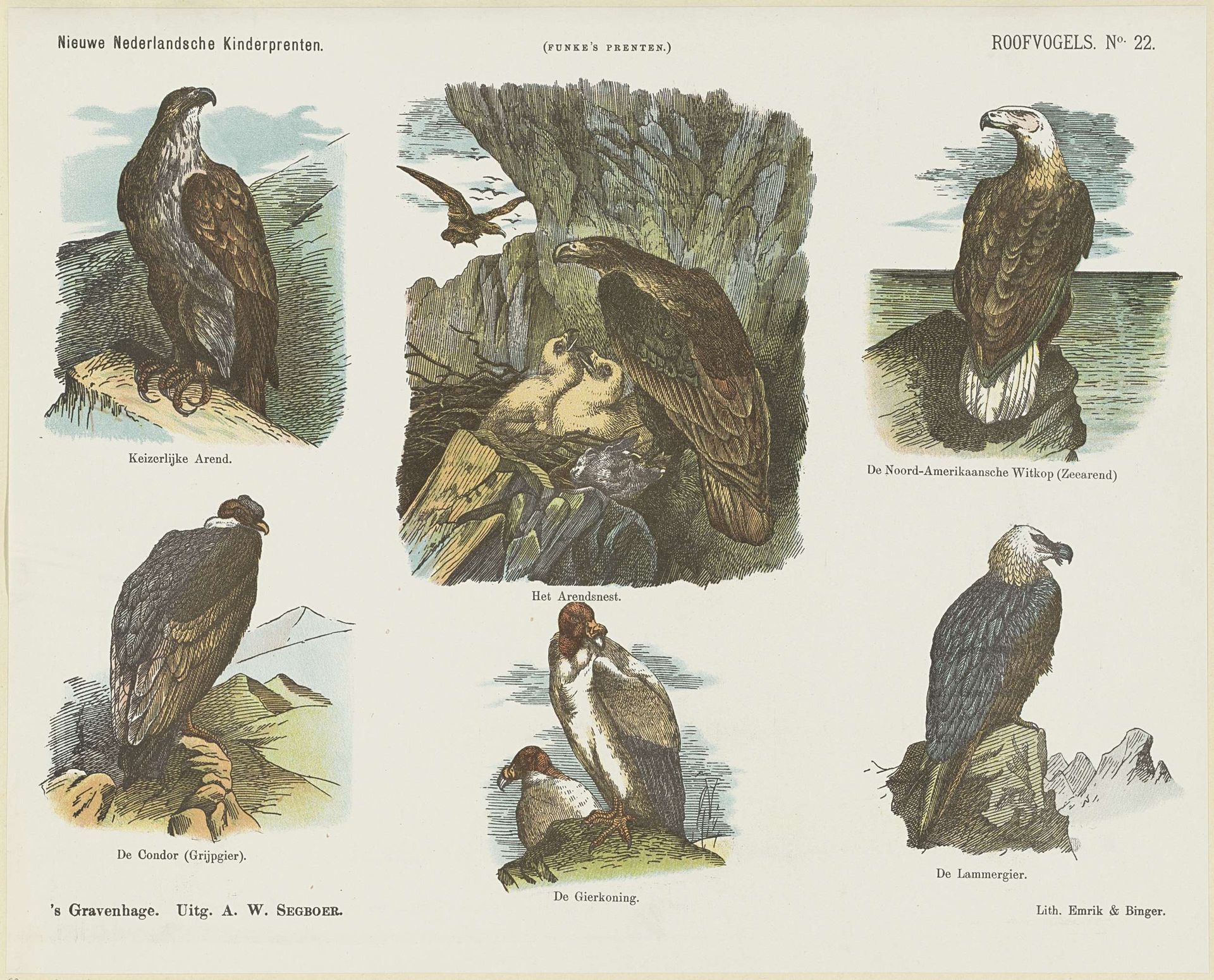 Roofvogels by Arie Willem Segboer