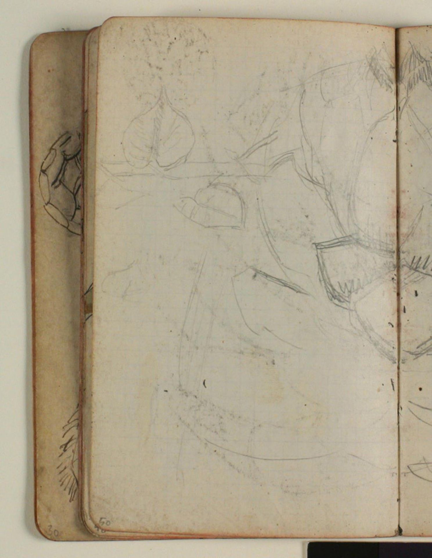 Plantestudie by Niels Larsen Stevns