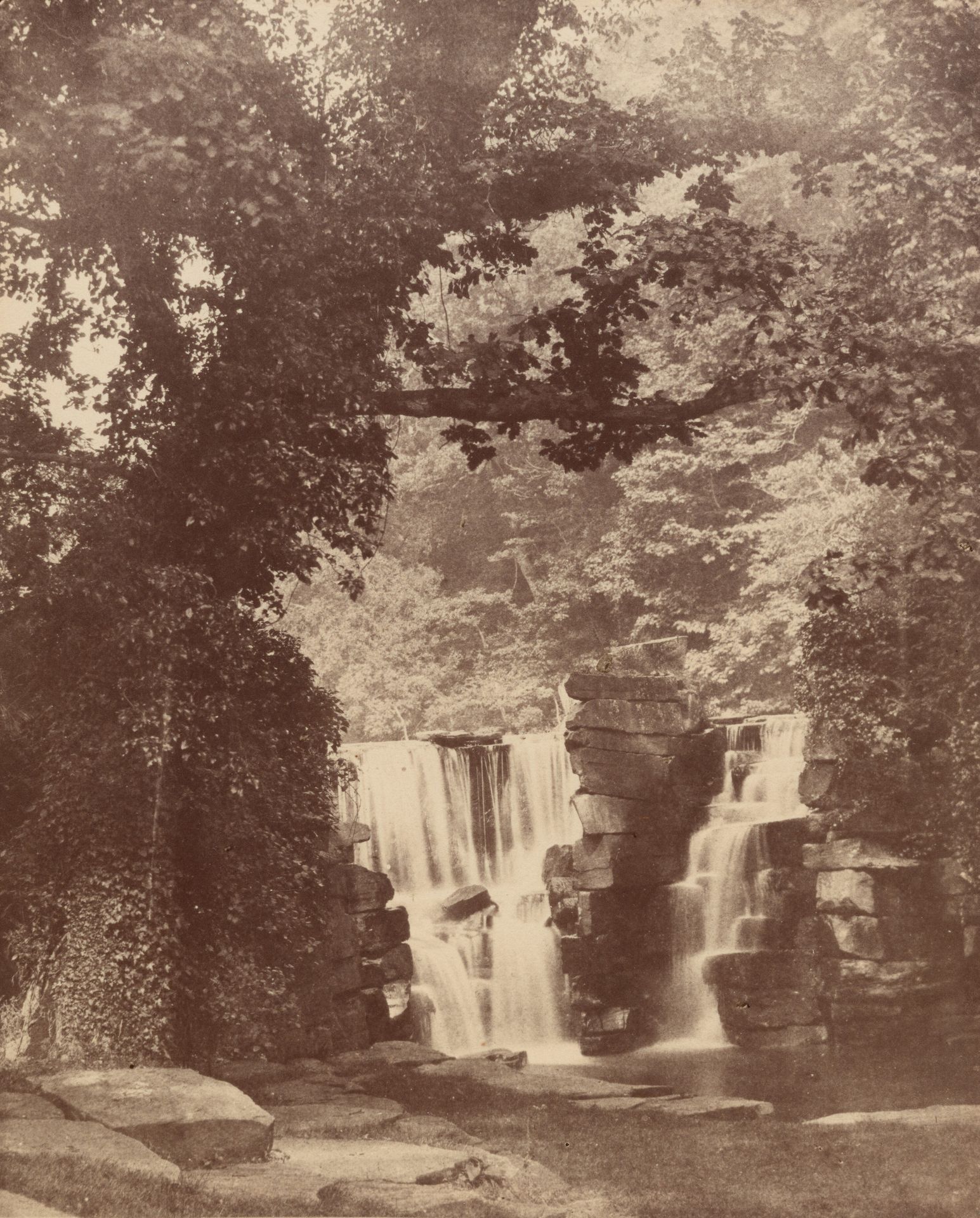 The Upper Falls, Penllergare Valley Woods by John Dillwyn Llewelyn