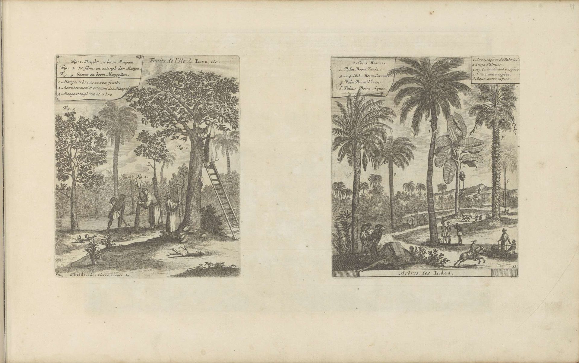 Landschappen met mangobomen, kokos- en palmbomen by Romeyn de Hooghe