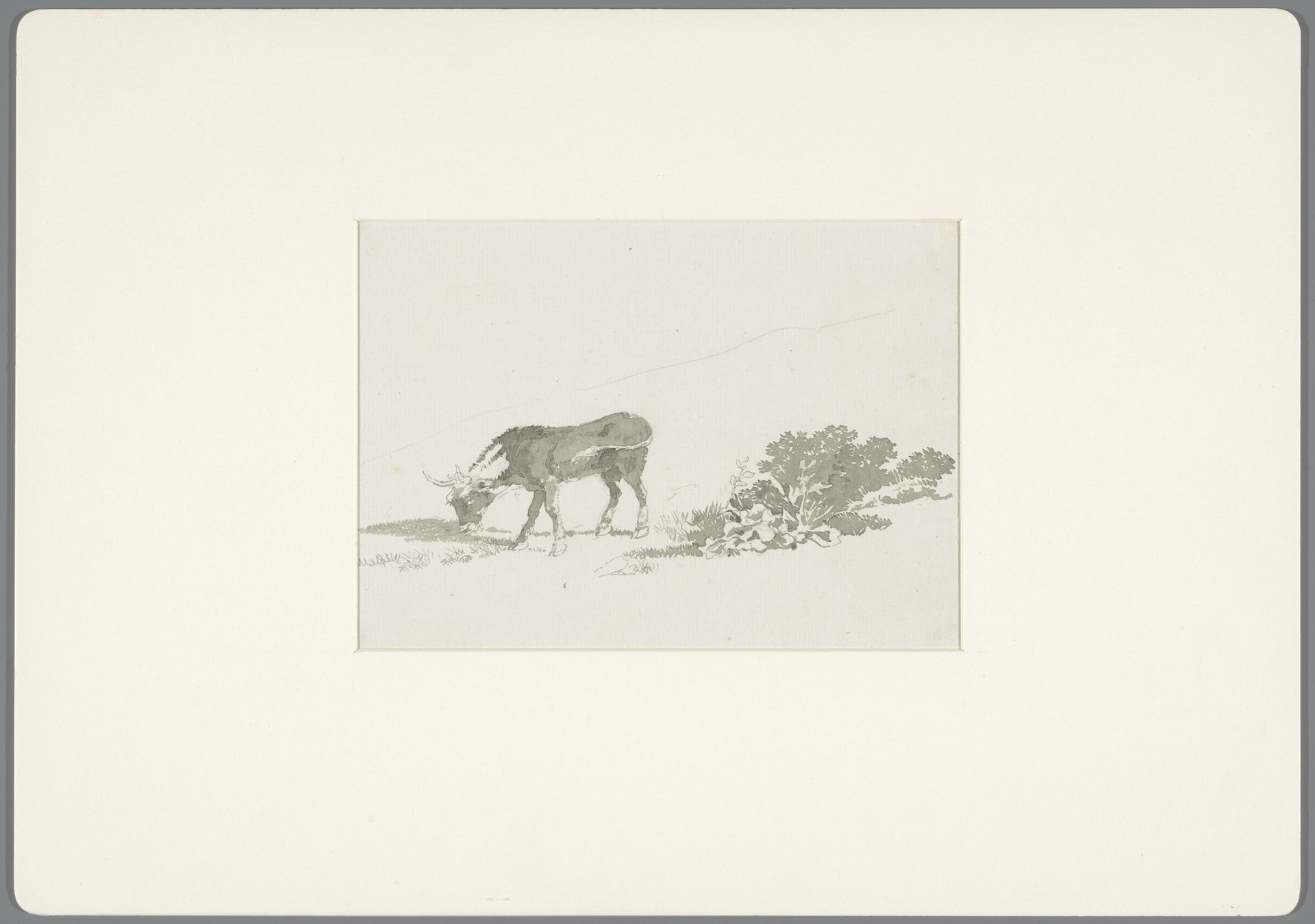 Grazend kalf bij planten by David Alphonse de Sandoz-Rollin