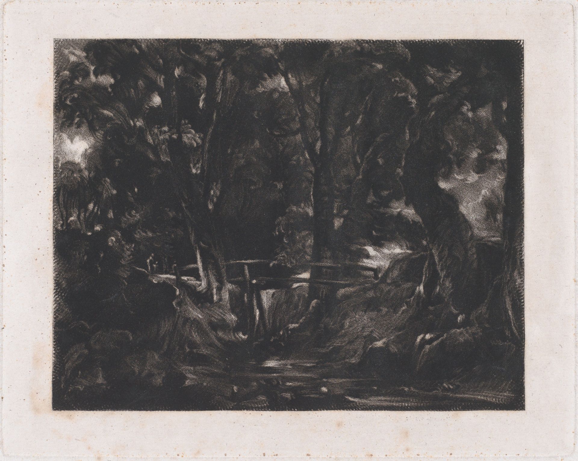 A Dell, Helmingham Park, Suffolk by David Lucas