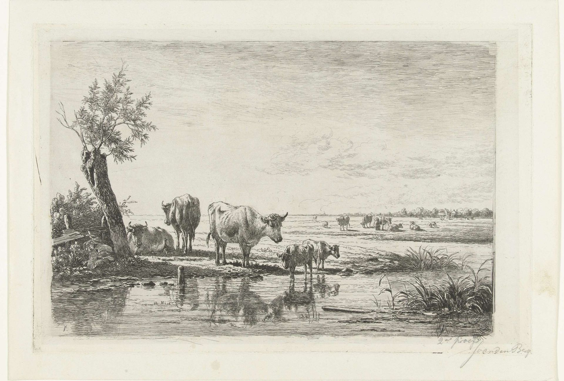 Weidelandschap met koeien bij water by Simon van den Berg