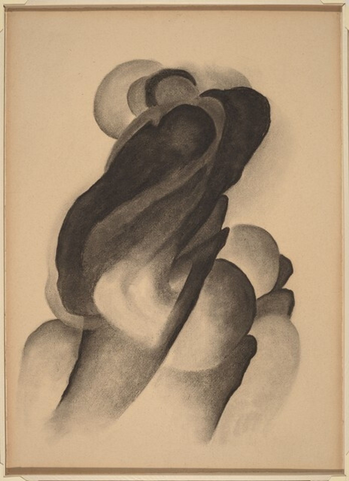 No. 16 Special by Georgia O'Keeffe