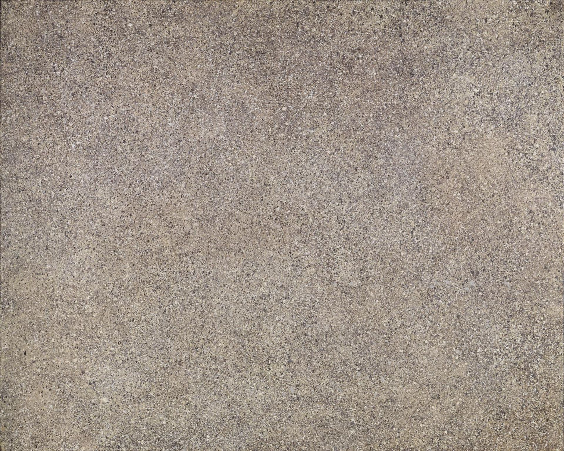 The Exemplary Life of the Soil (Texturology LXIII) by Jean Dubuffet
