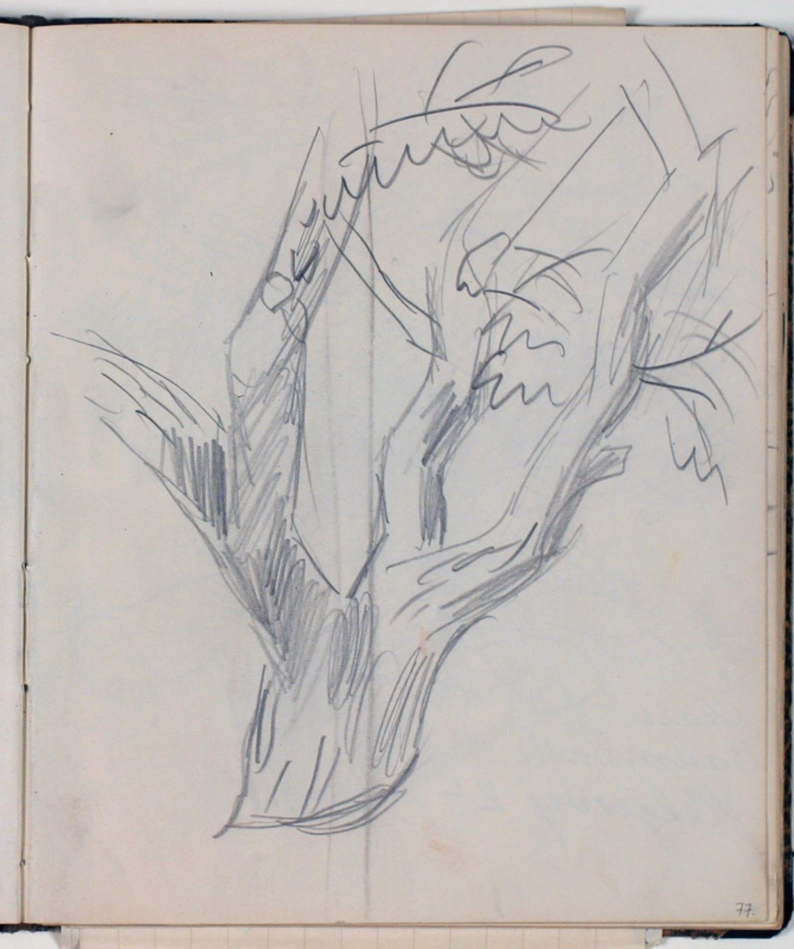 Studie af trækrone by Niels Larsen Stevns