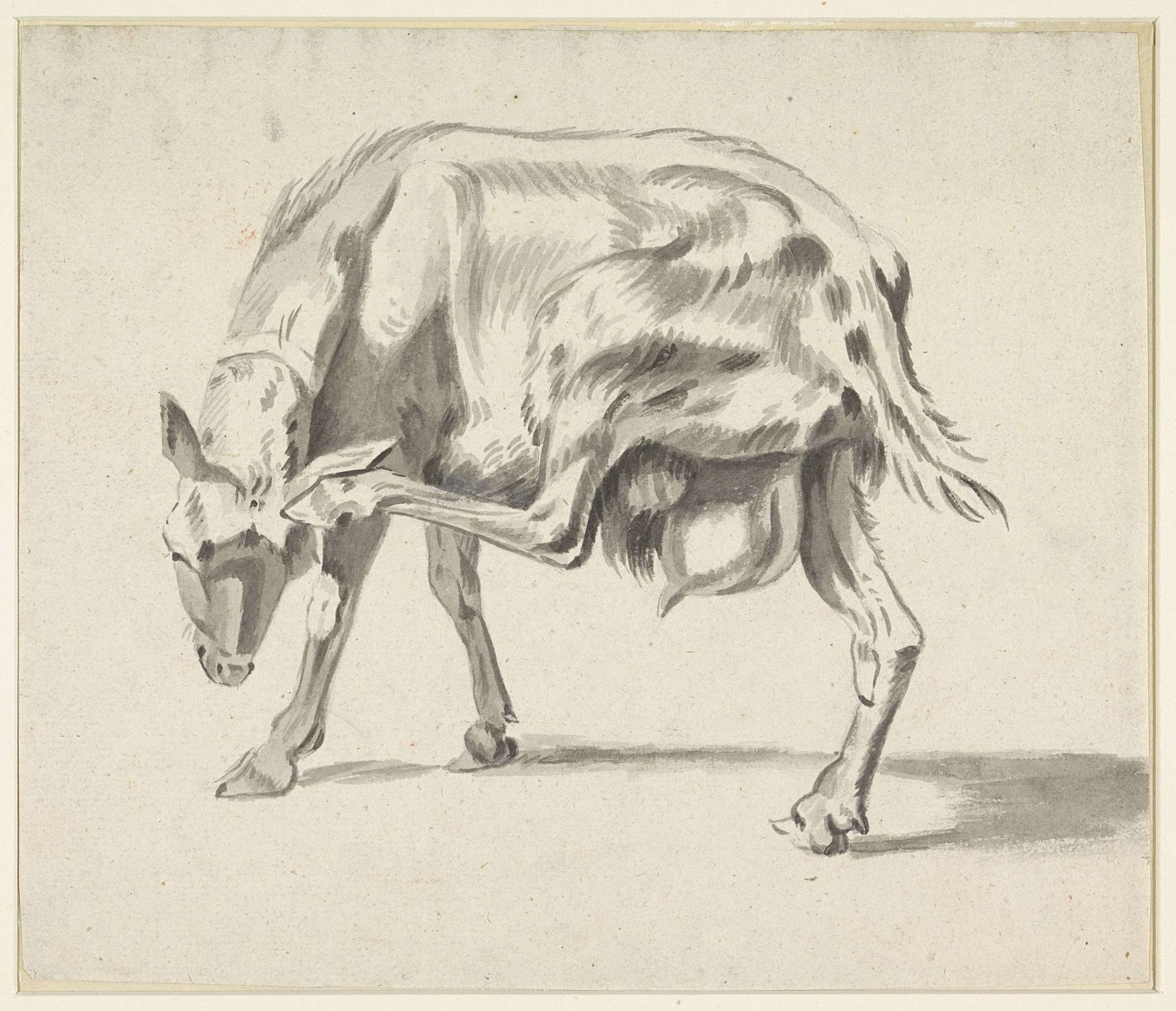 Zich krabbende geit by Hendrik Jozef Franciscus van der Poorten