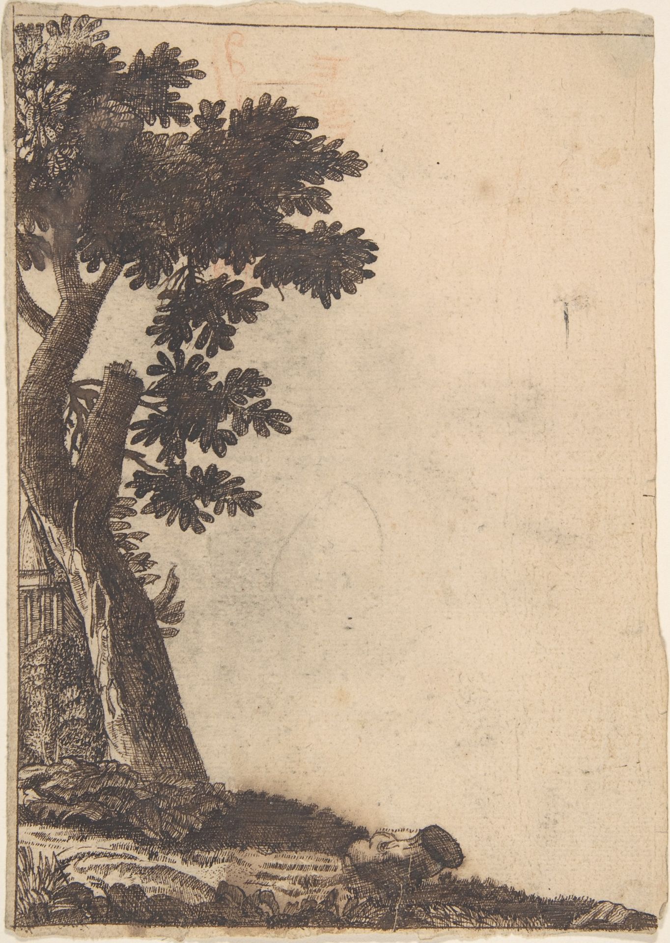 Study of a Tree by Anonymous