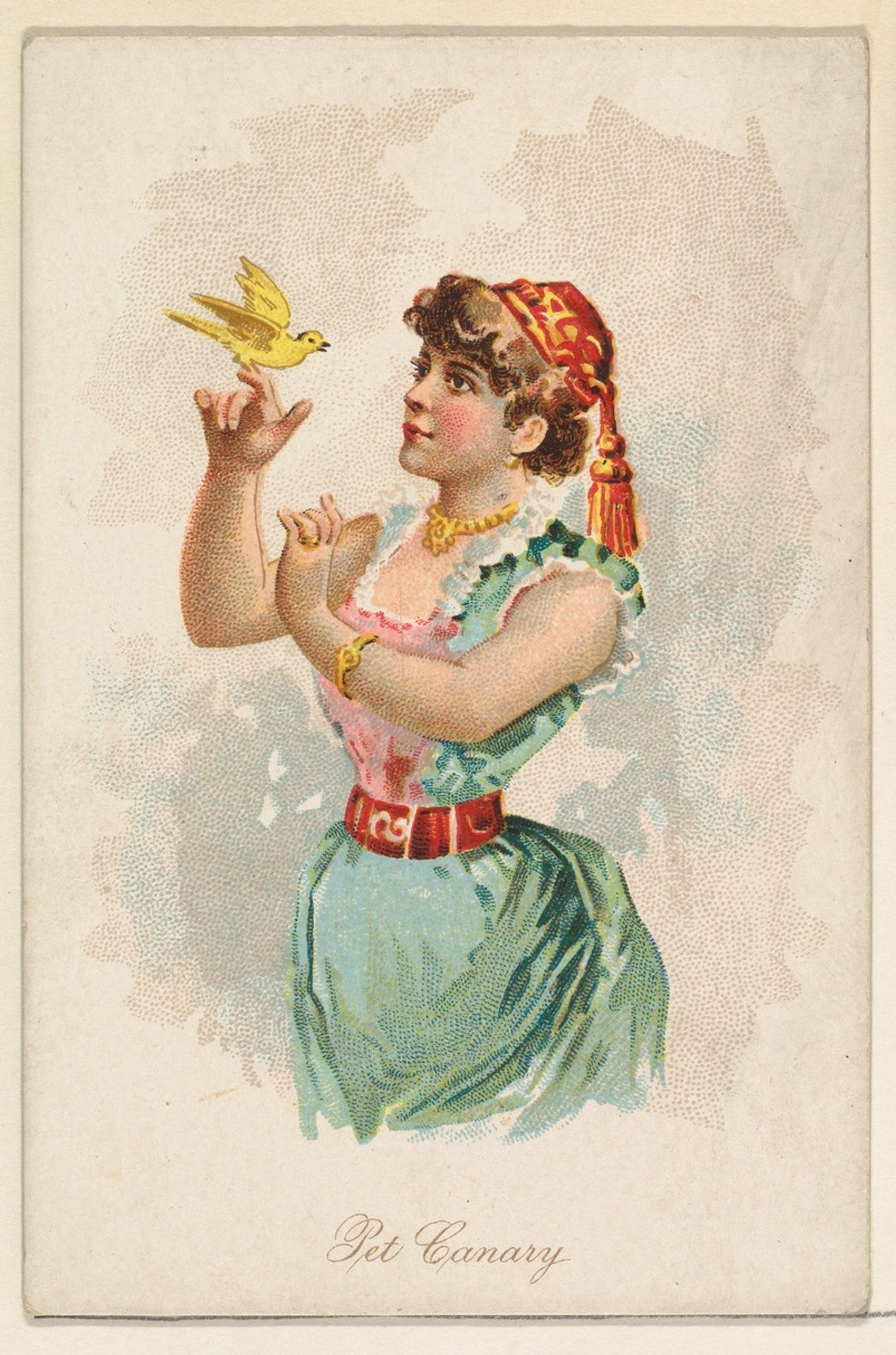 Pet Canary, from the Household Pets series (N194) issued by Wm. S. Kimball & Co. by William S. Kimball & Company