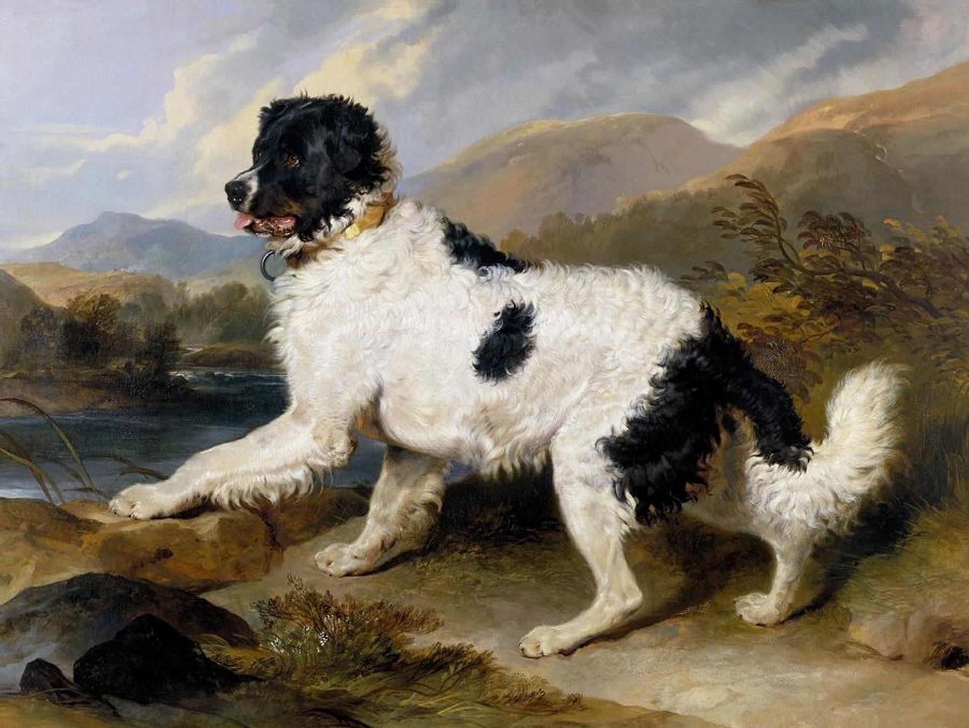 Lion a Newfoundland Dog by Edwin Henry Landseer