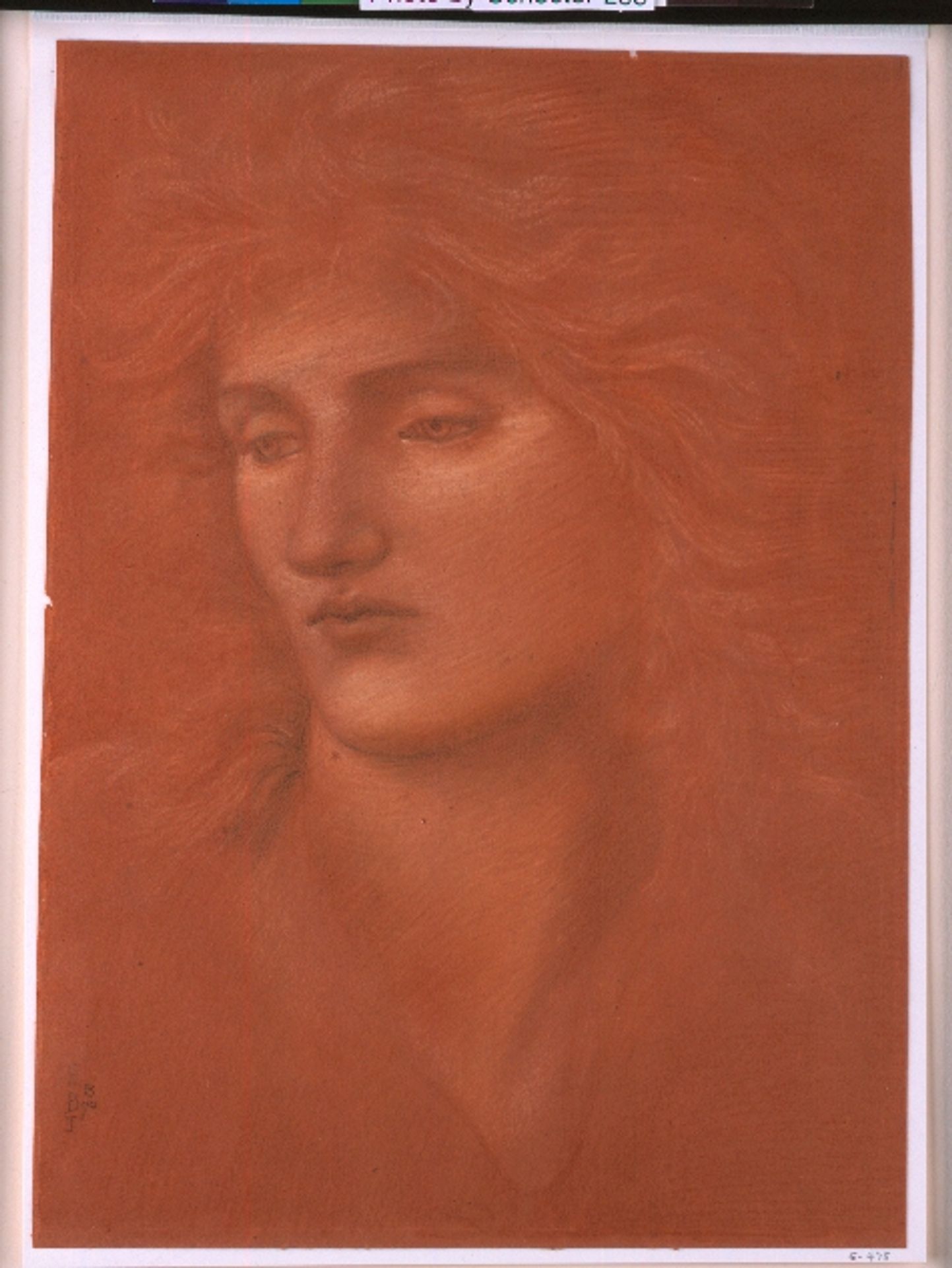 Study of a Female Head by Edward Burne-Jones