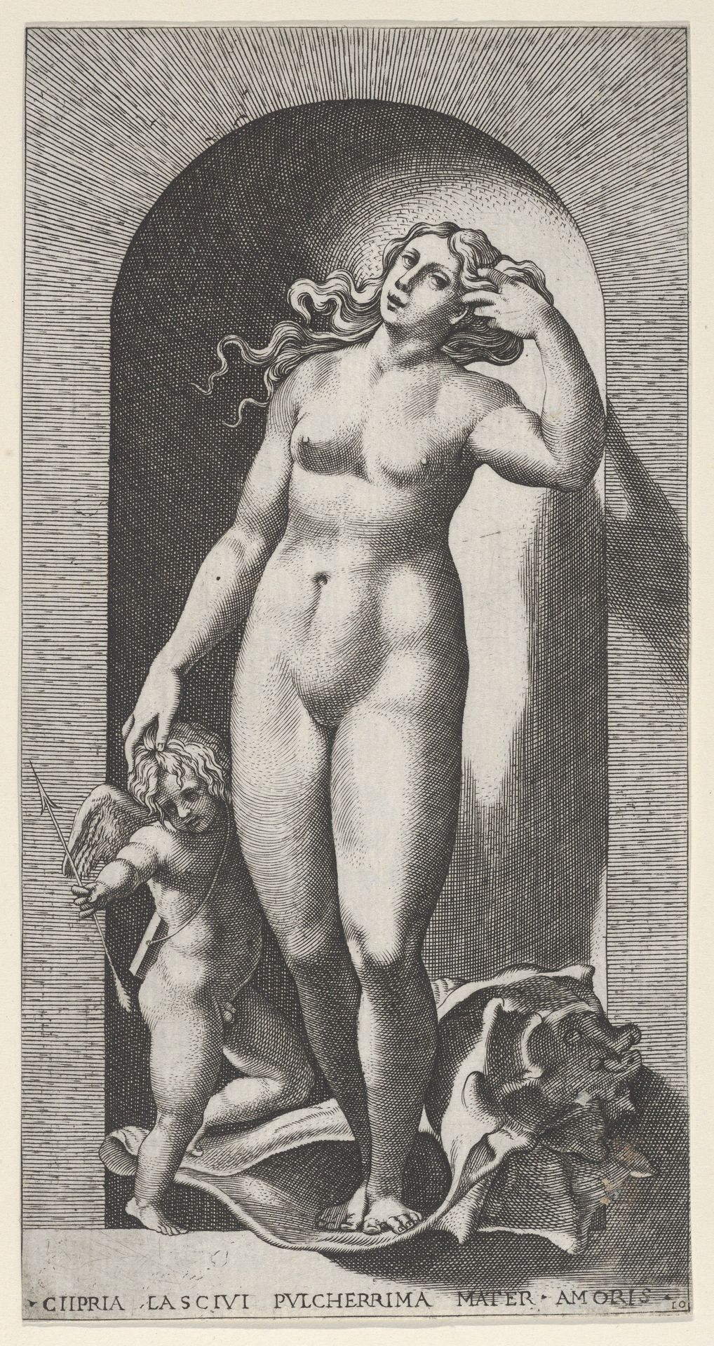 Plate 10: Venus in a niche, standing on a conch shell, with Cupid to her right, from "Mythological Gods and Goddesses" by Giovanni Jacopo Caraglio