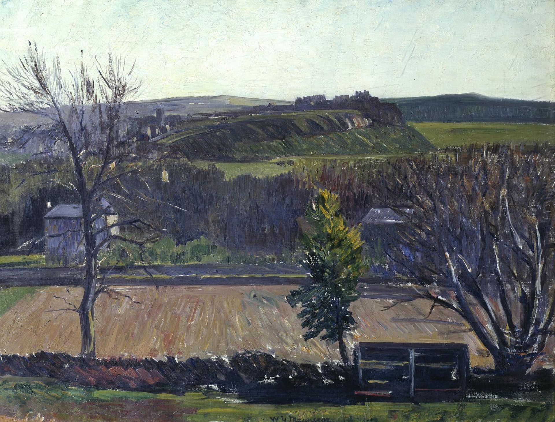 The Carse of Stirling by  William York Macgregor