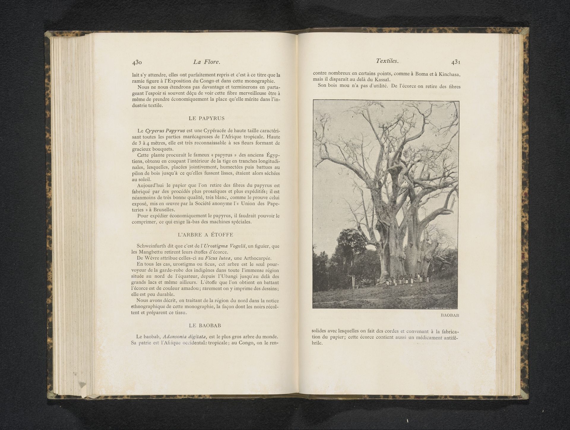 Gezicht op een groep mensen bij een baobab boom by Anonymous