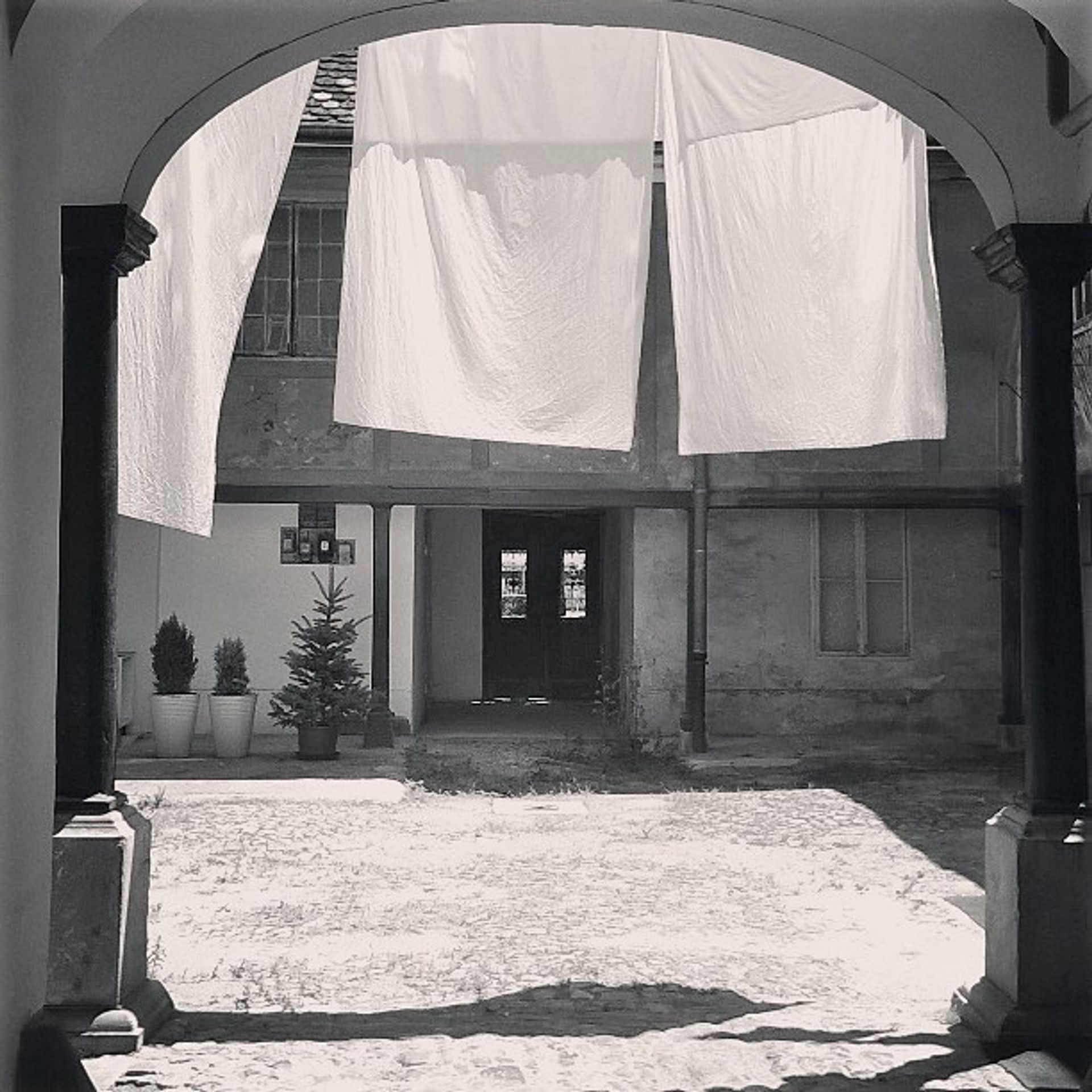 Drying the laundry by Alfred Freddy Krupa