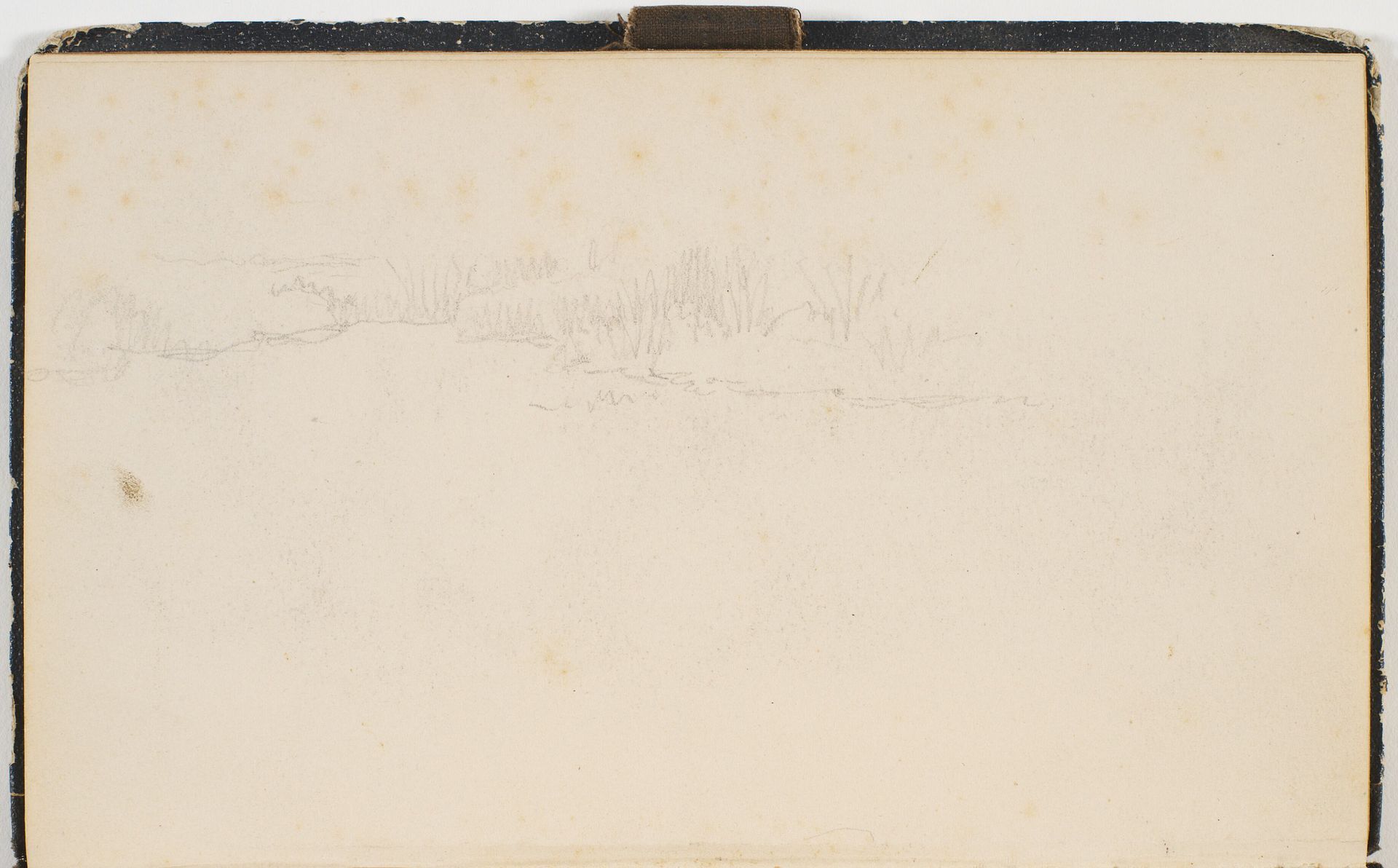 Siv i vandkant by P.C. Skovgaard