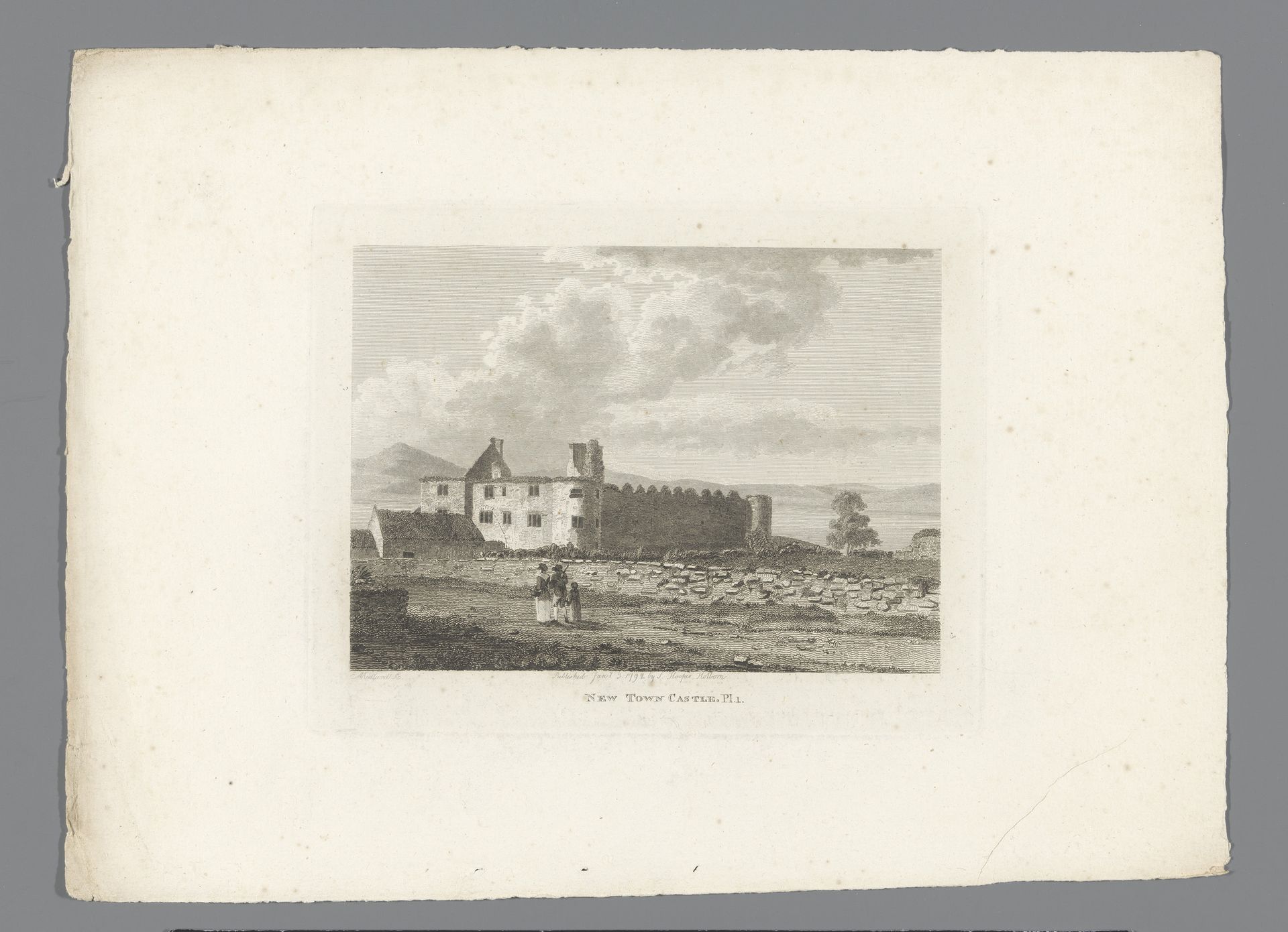 Gezicht op de ruïnes van Newtown Castle by Thomas Medland