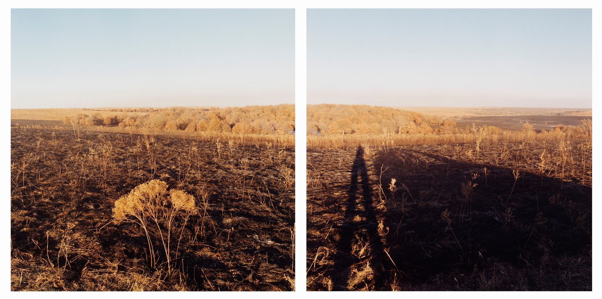 Area burned as part of prairie management program by Terry Evans