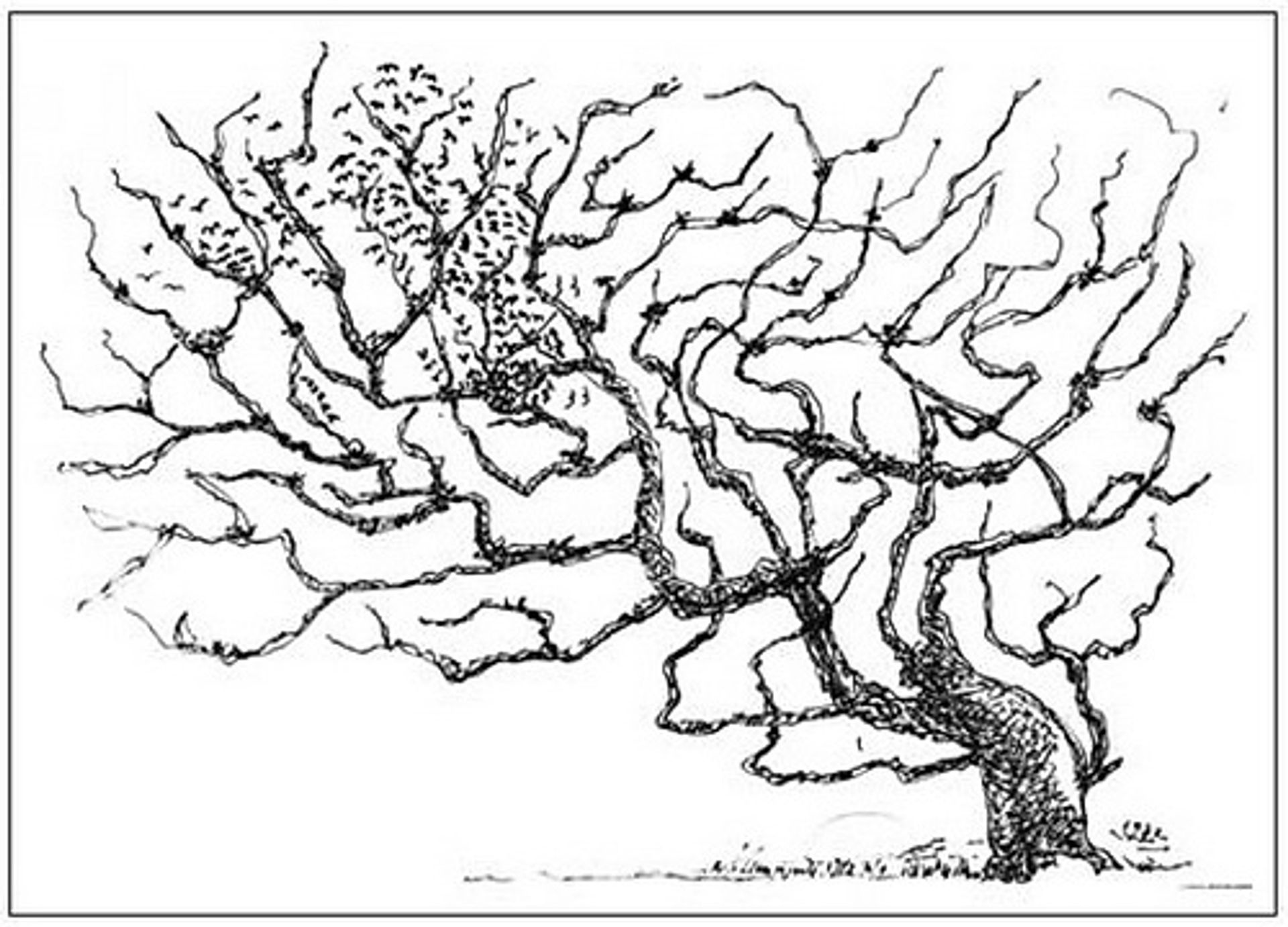 A tree by Martiros Sarian