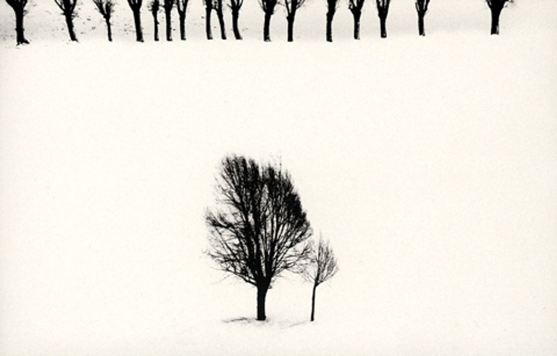 Snow White - Abbas Kiarostami | Artera