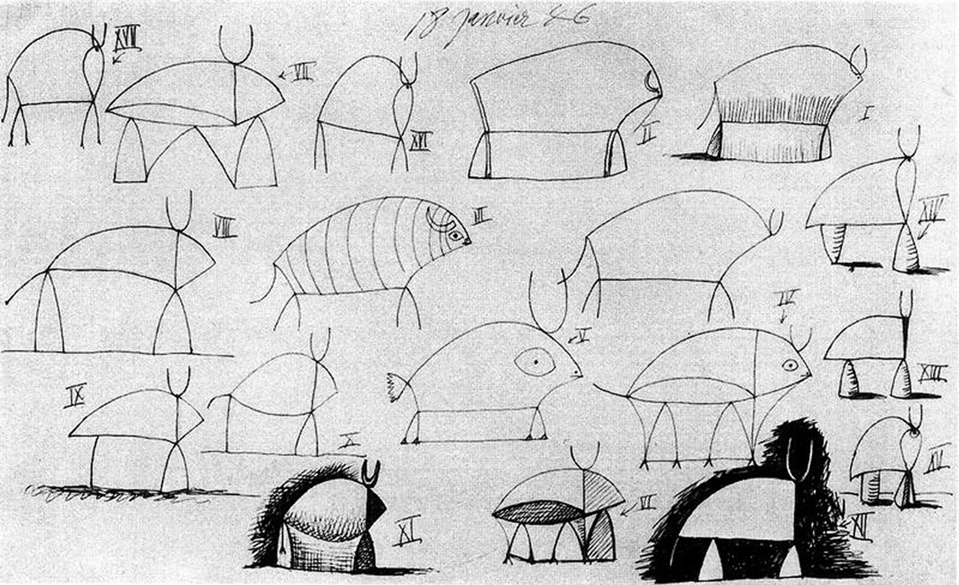 Bull (study) by Pablo Picasso
