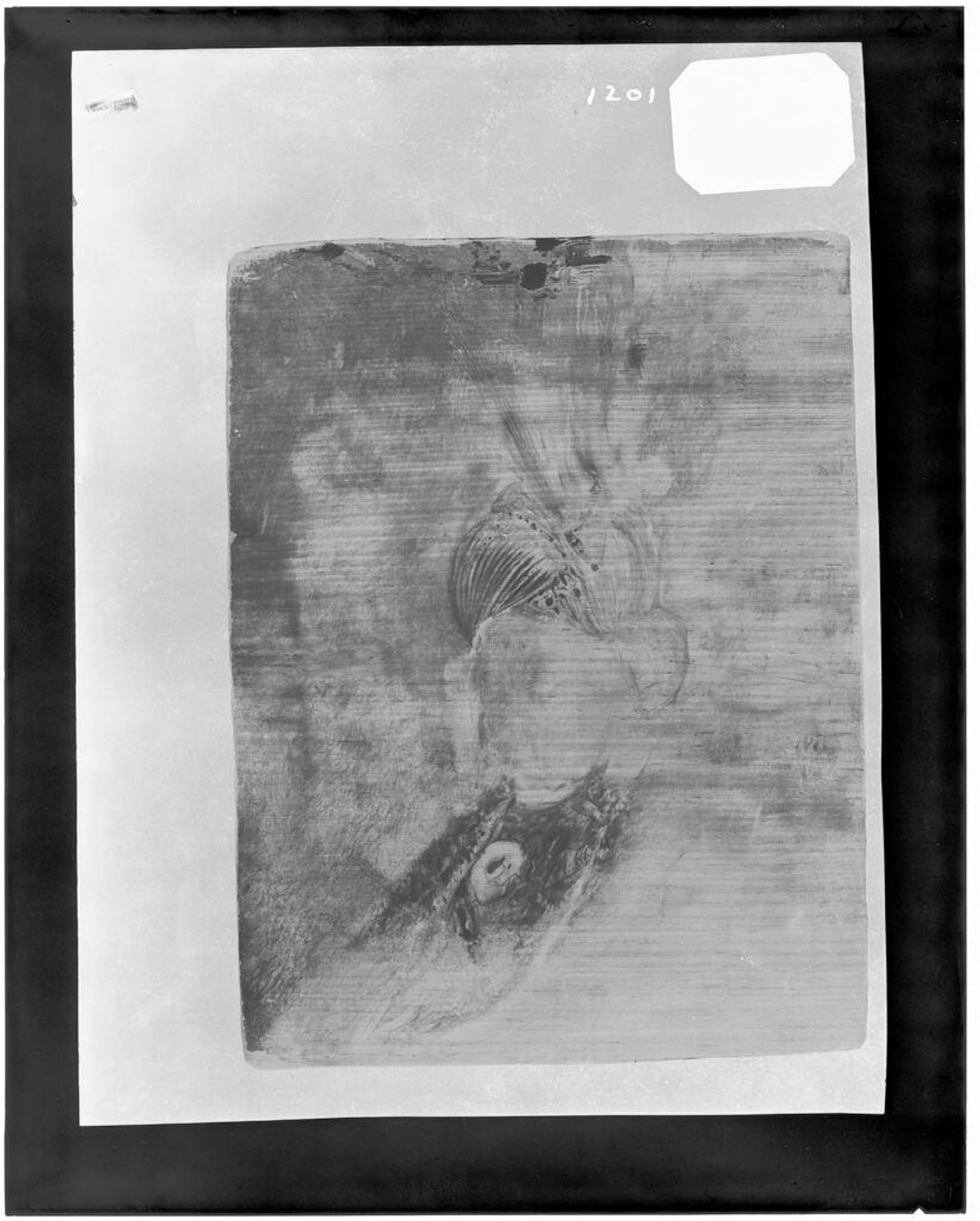 X-radiograph(s) of "Head of a Turk" by Artist of original: Rembrandt Harmensz. van Rijn