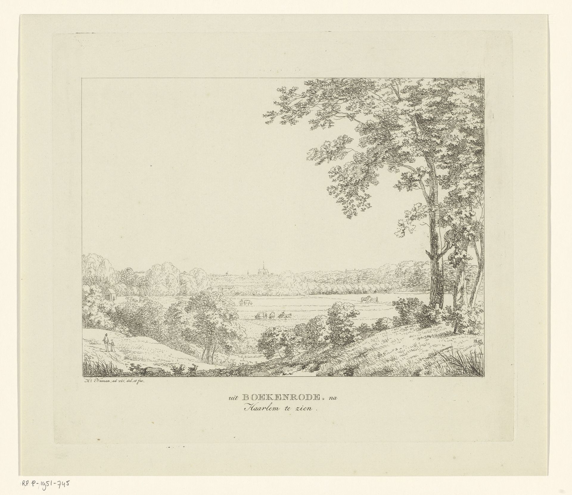 Haarlem gezien vanaf Boekenrode by Hermanus Numan
