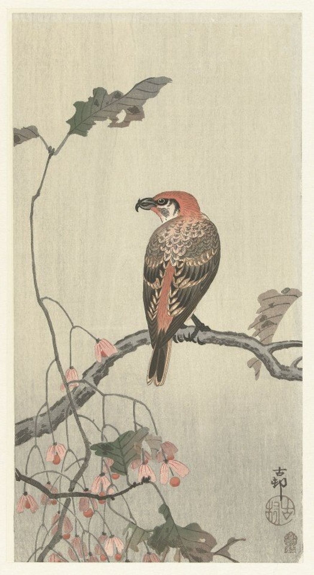 Crossbill on tree branch by Ohara Koson