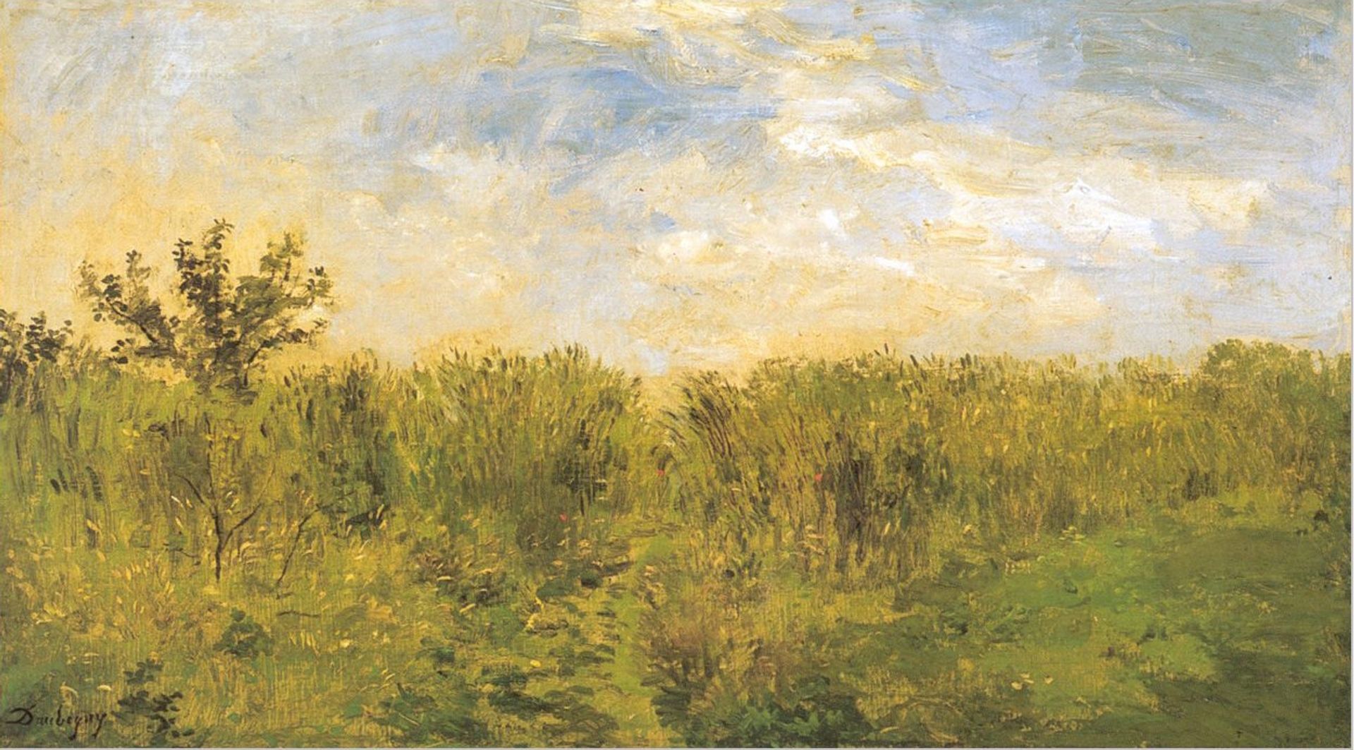 Young corn by Charles François Daubigny