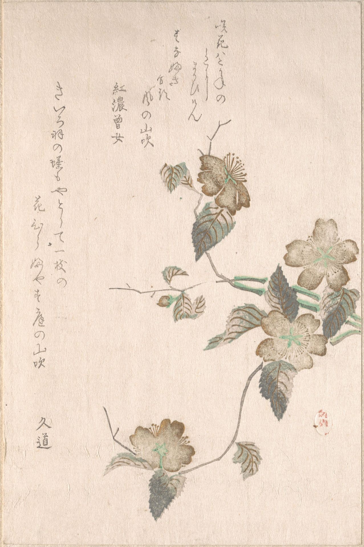Yamabuki Flowers (kerria japonica) by Anonymous