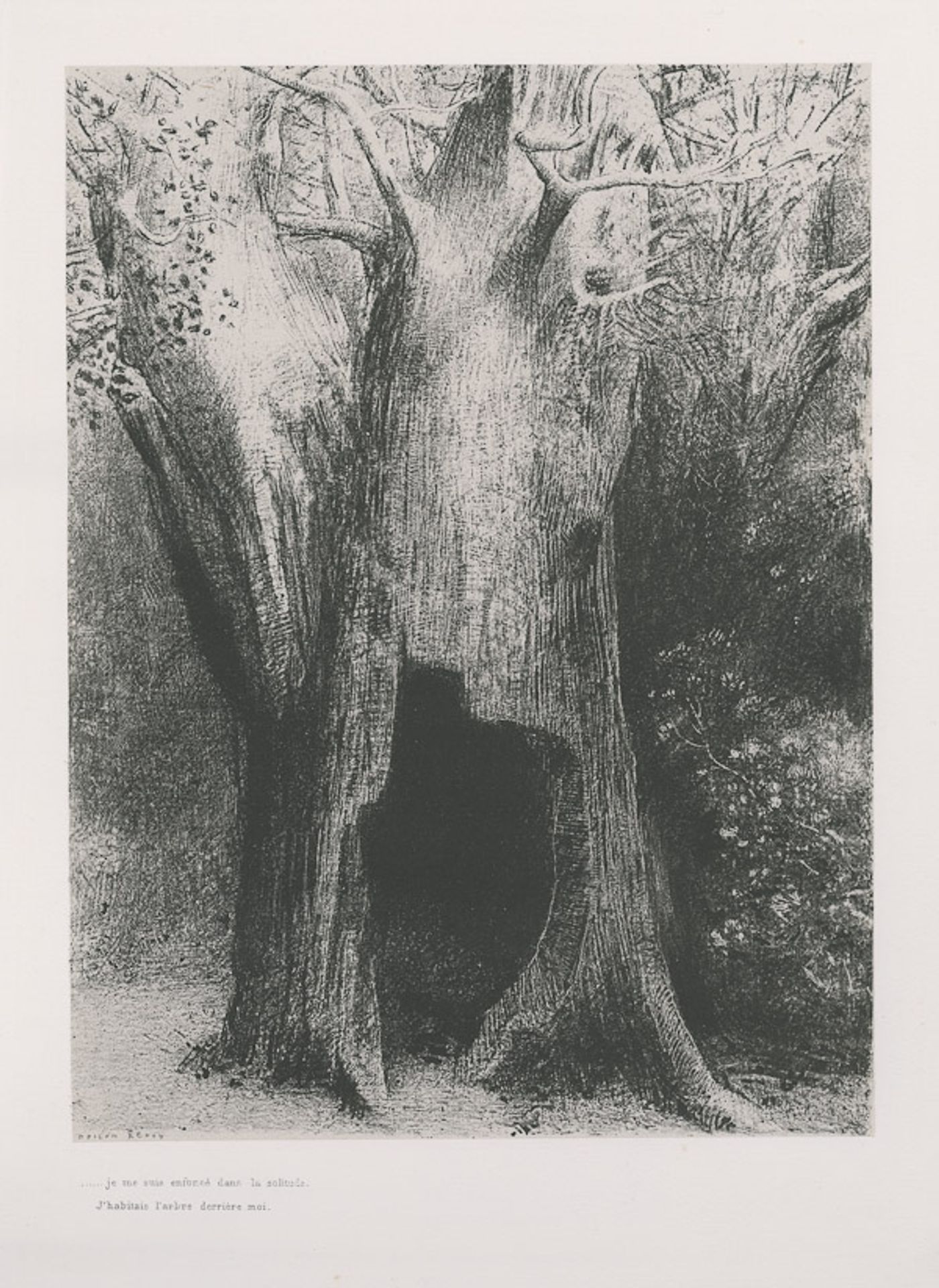 I plunged into solitude. I dwelt in the tree behind me. (plate 9) by Odilon Redon