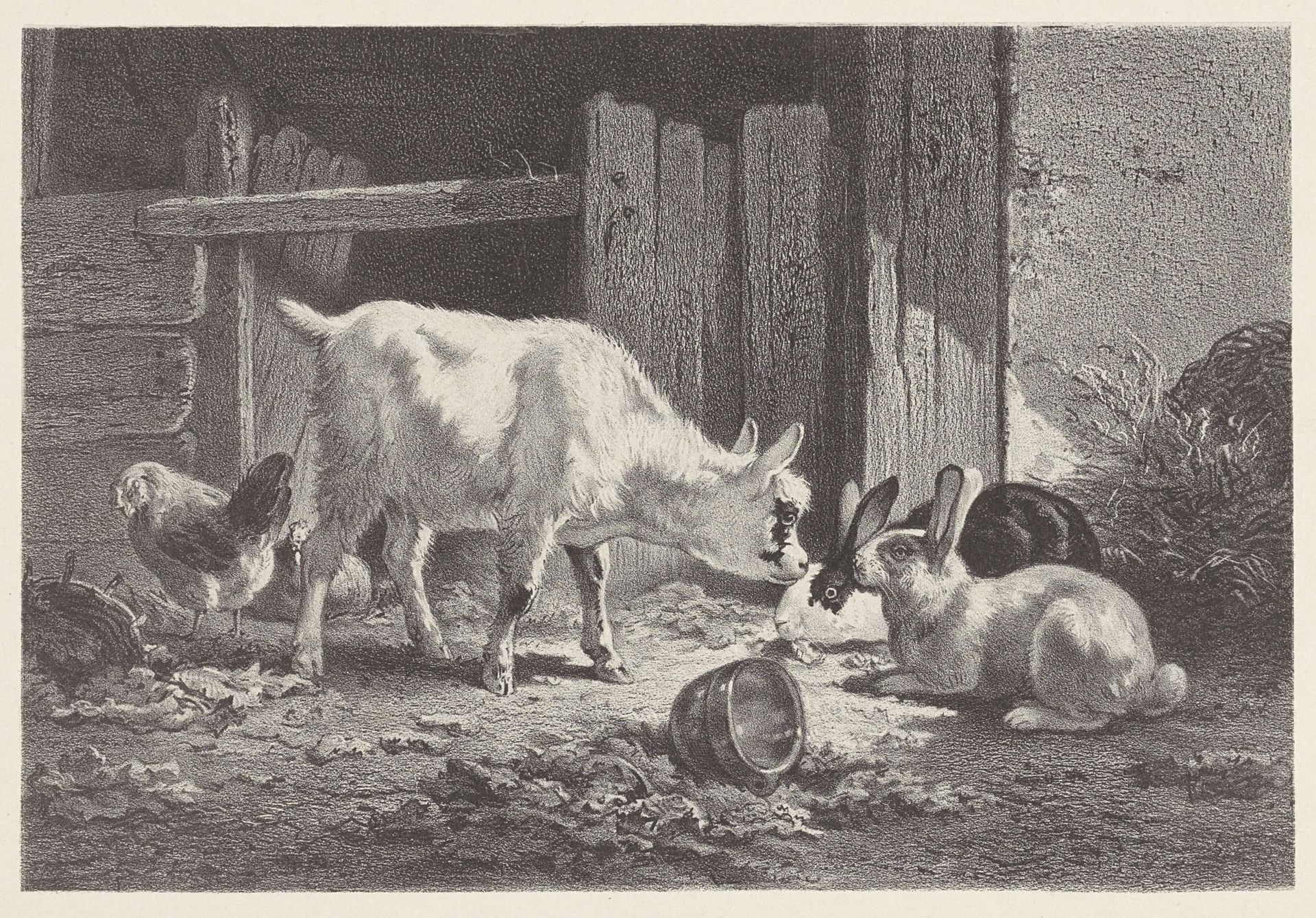 Geit met twee konijnen en een kip by Gerardus Johannes Bos
