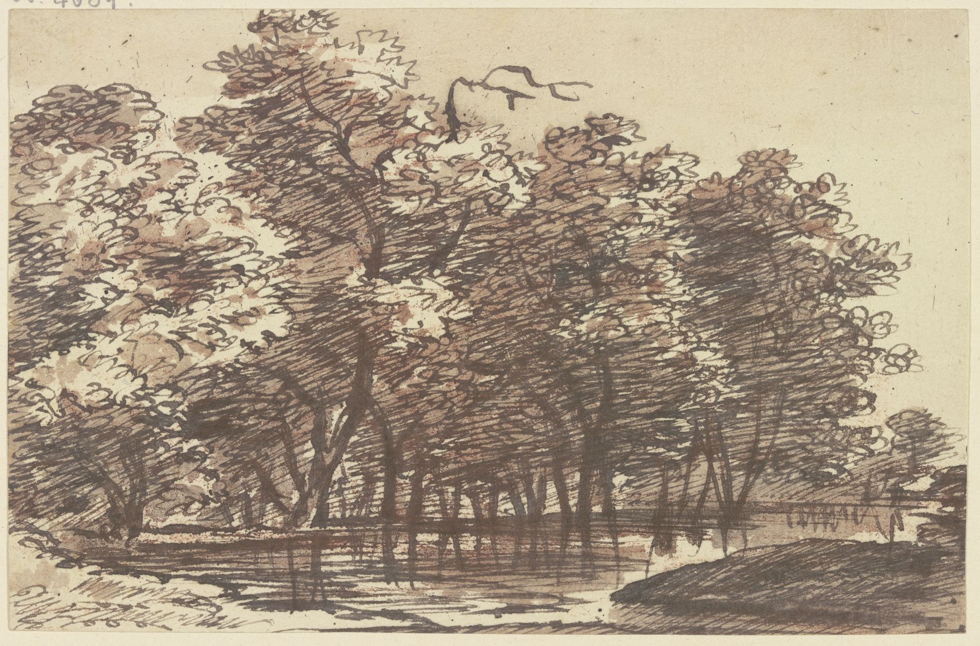 Group of trees by Franz Kobell