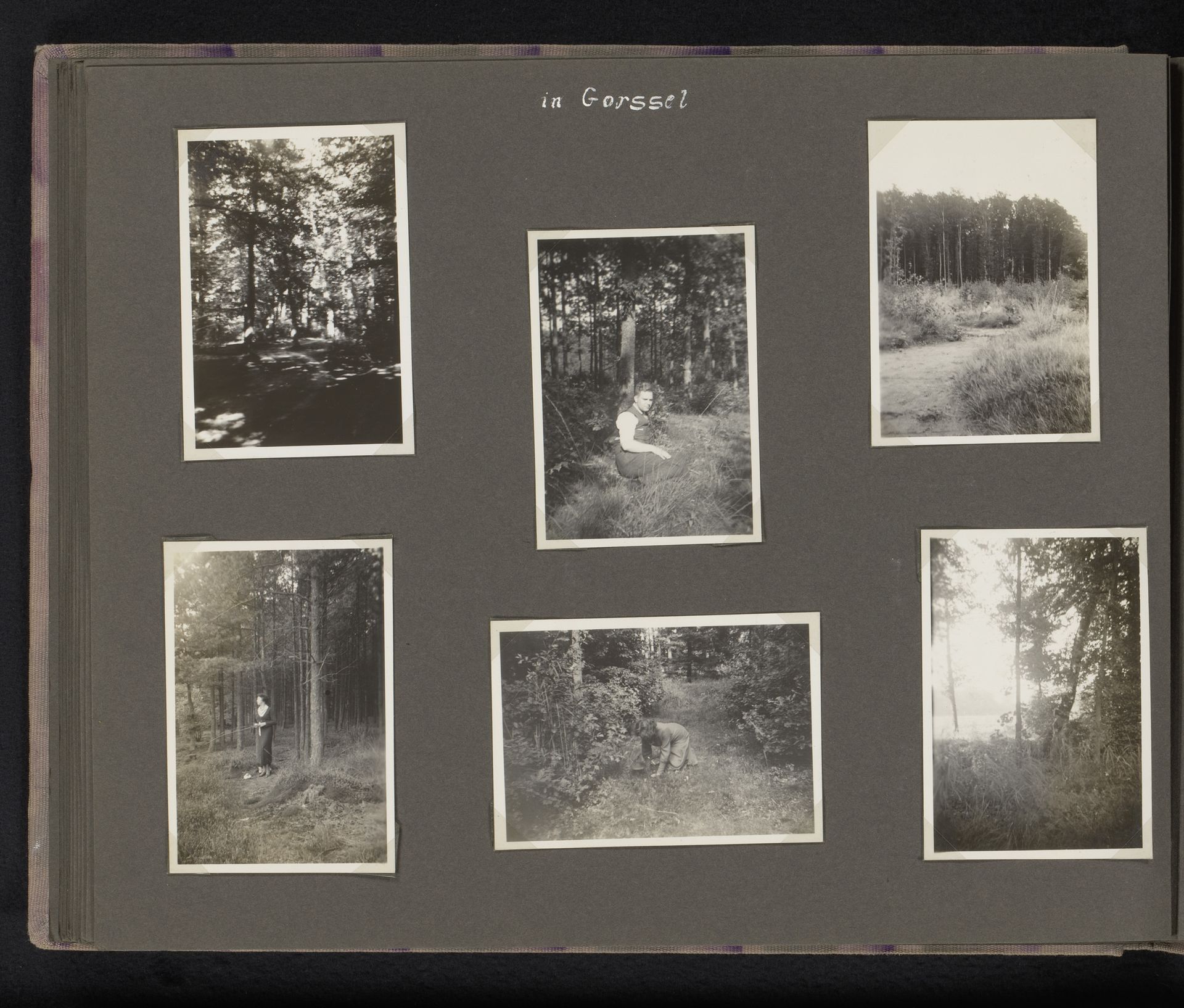 Echtpaar Berti Hoppe en Herman Besselaar in het bos te Gorssel by Herman Besselaar