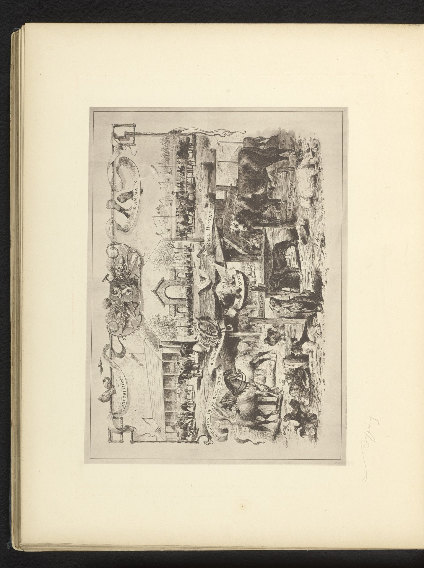 Reproductie van een gravure van verschillende soorten dieren, getoond op de Exposition Nationale van 1880 in Brussel, door Armand Heins by Anonymous