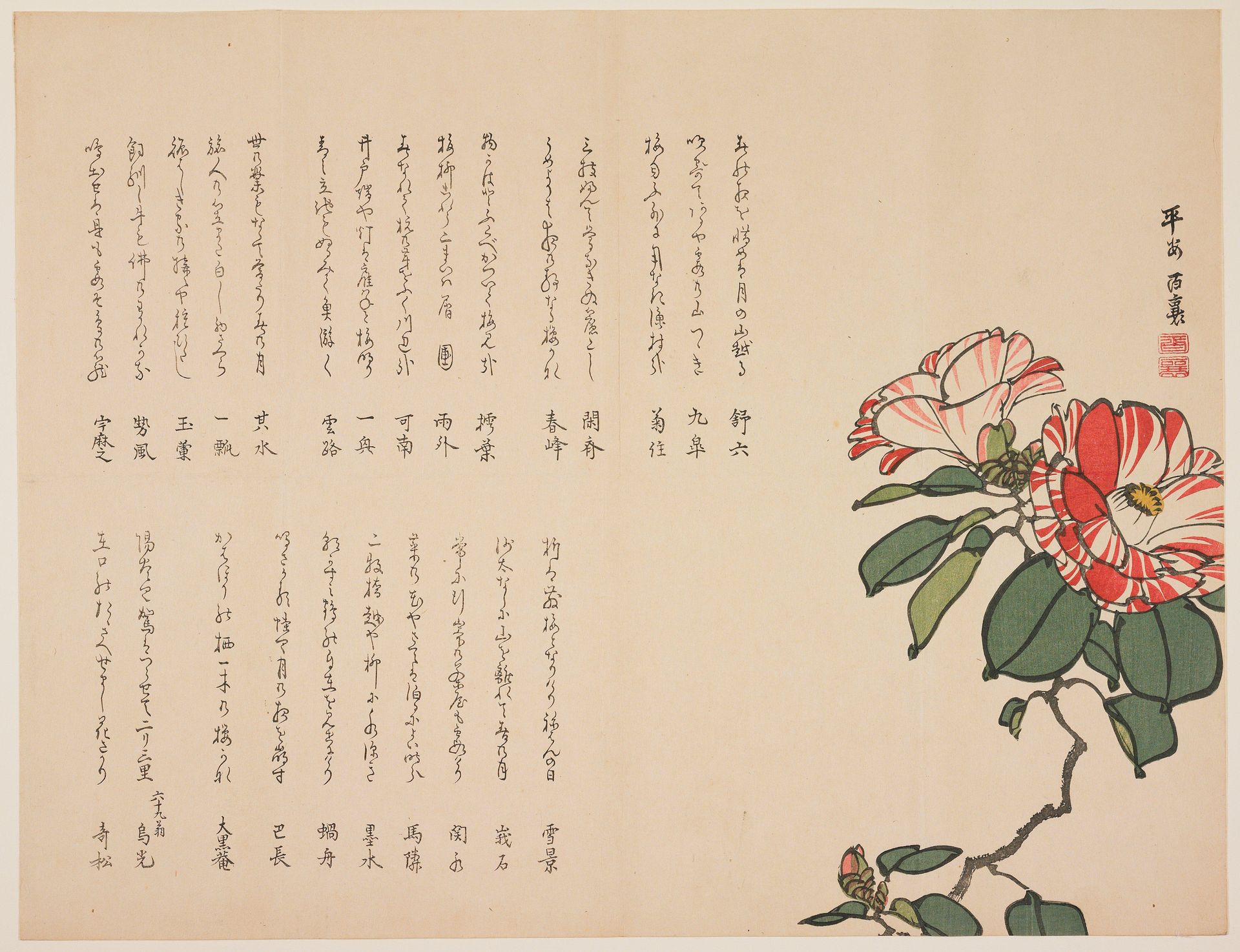 Camellia by Hyakujō