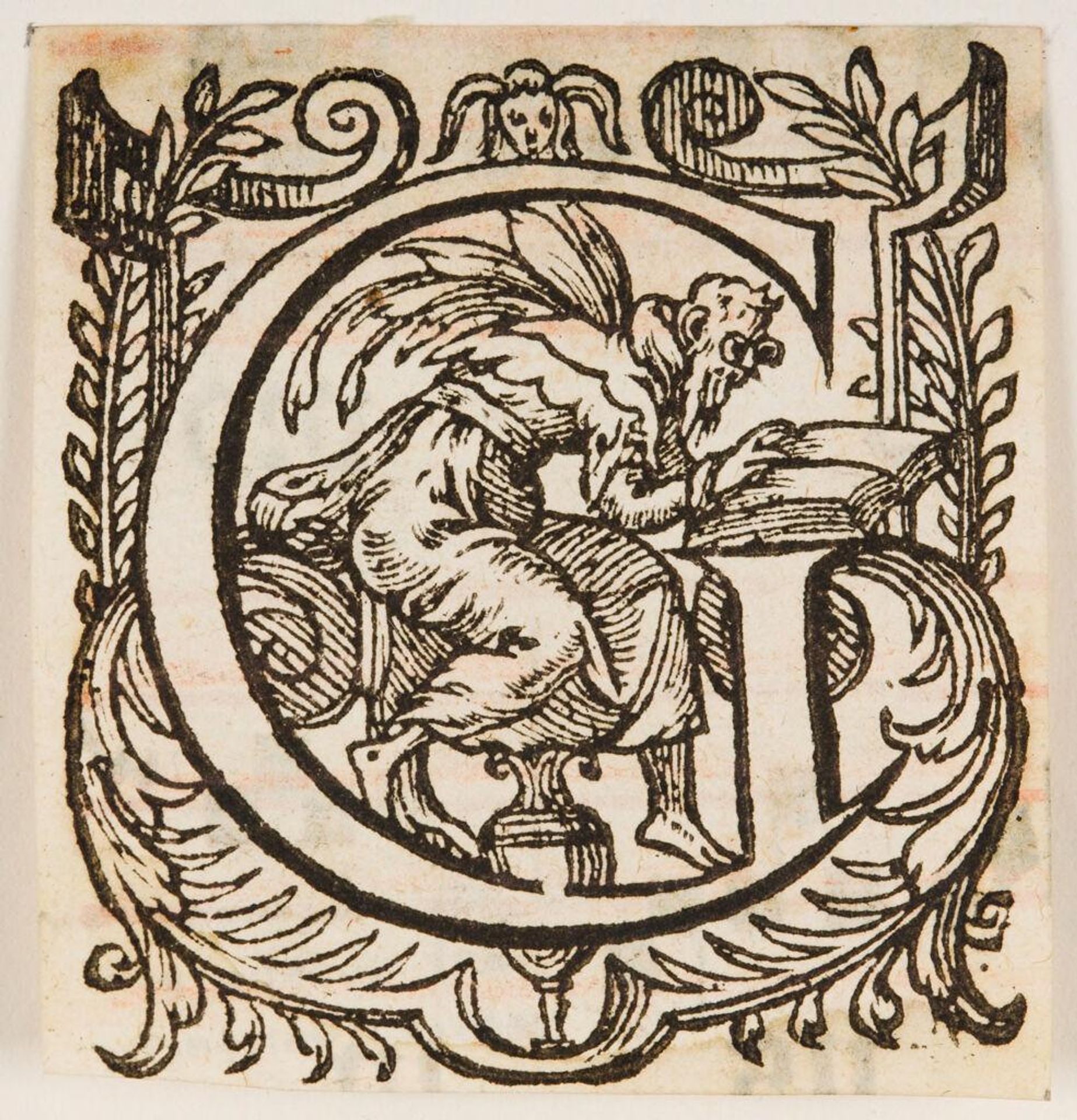 Letter G by Anonymous