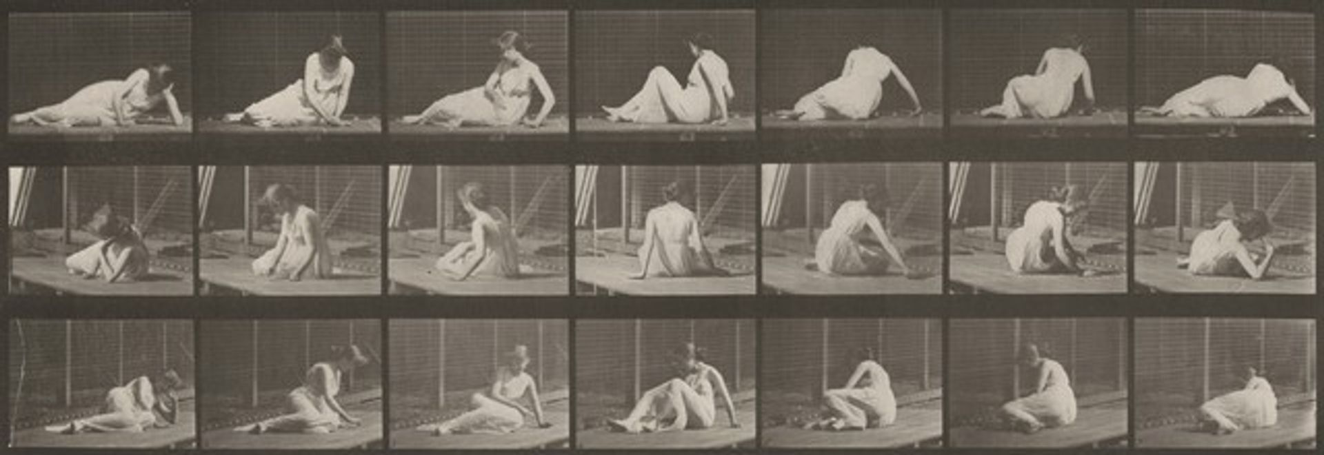Plate Number 267. Turning and changing position while on the ground by Eadweard Muybridge